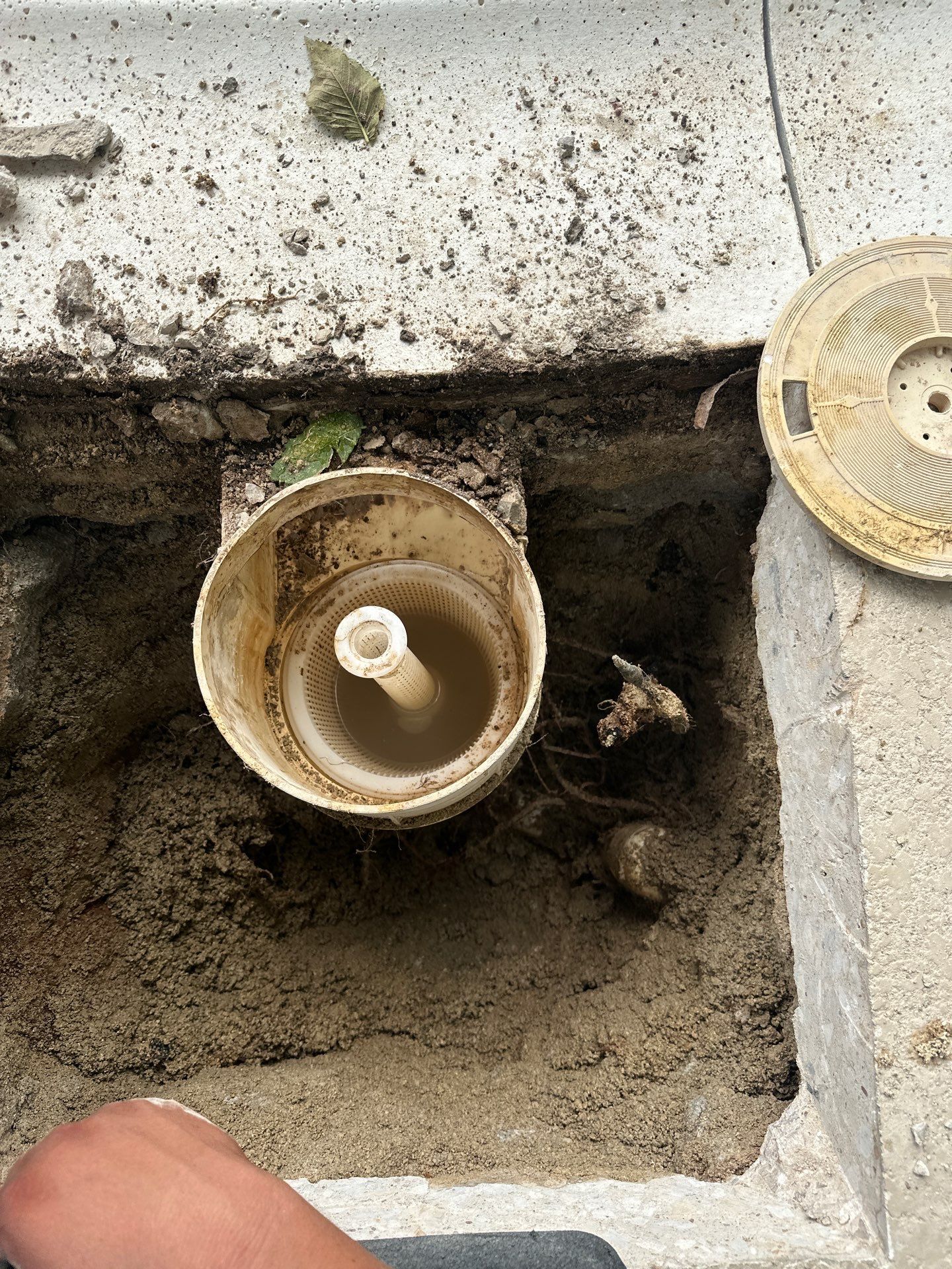 Arlington Skimmer Replacement by Sink or Swim Pools