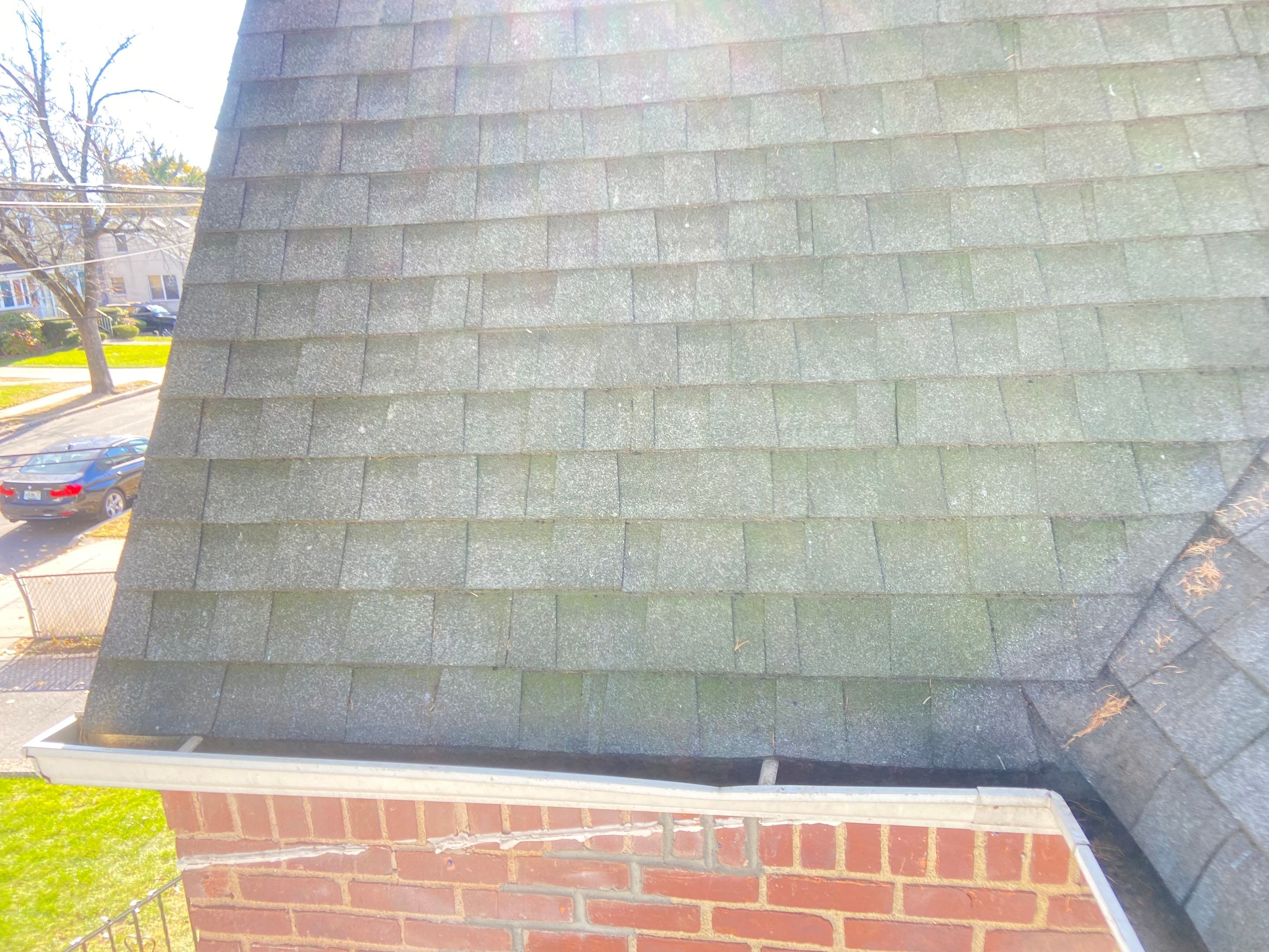 Pine needles fall all year round. 🌲 by Above All Gutters 