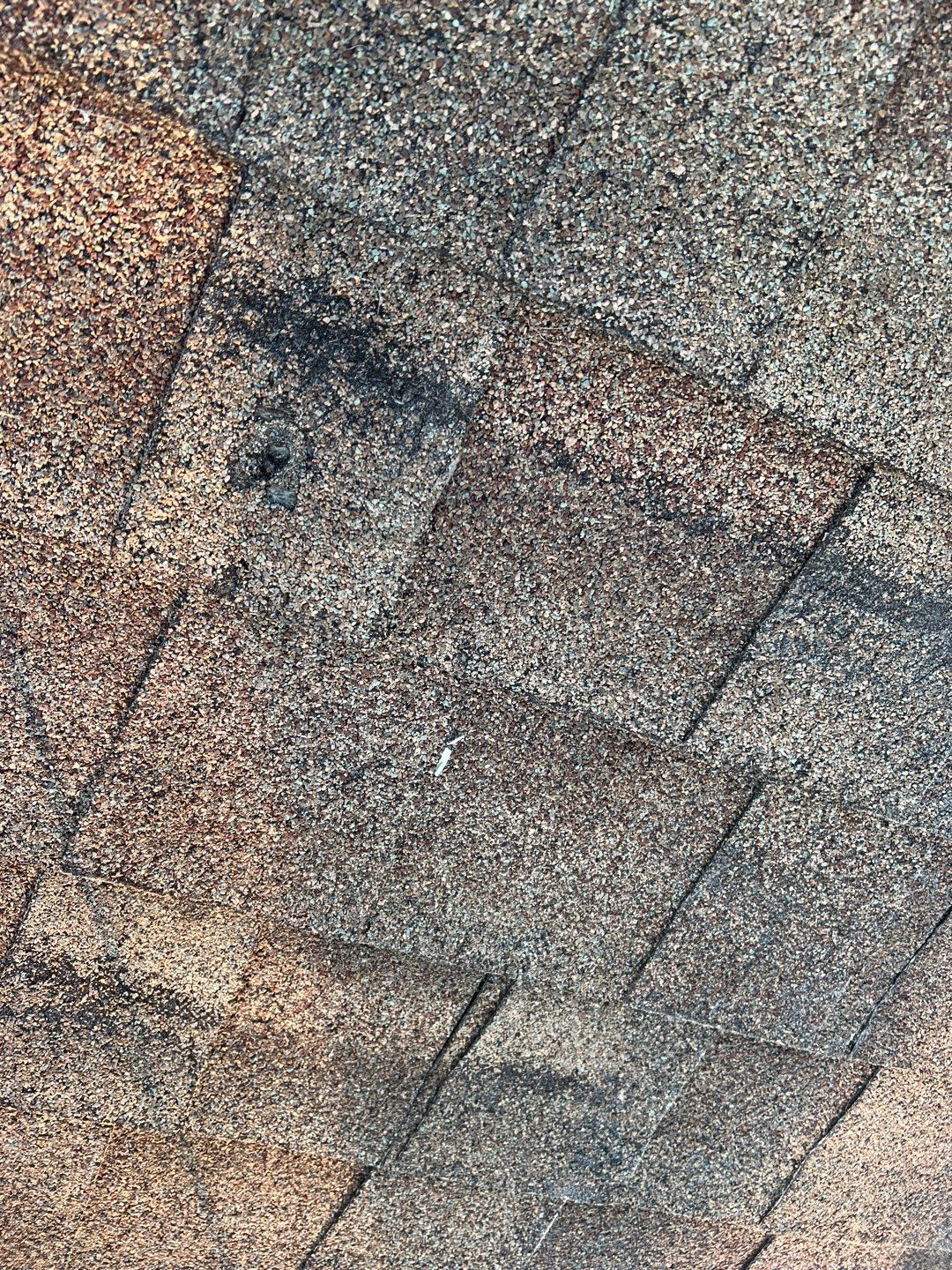Project in Tampa 33614 by Mitchell Roofing Company LLC