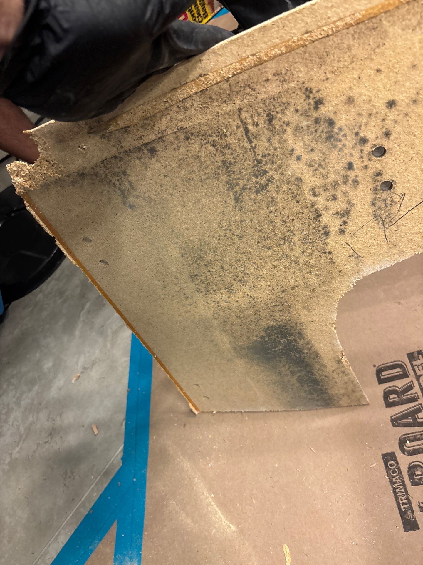 Mold Damage Inspection In Bradenton Florida by Ampm Restoration Services