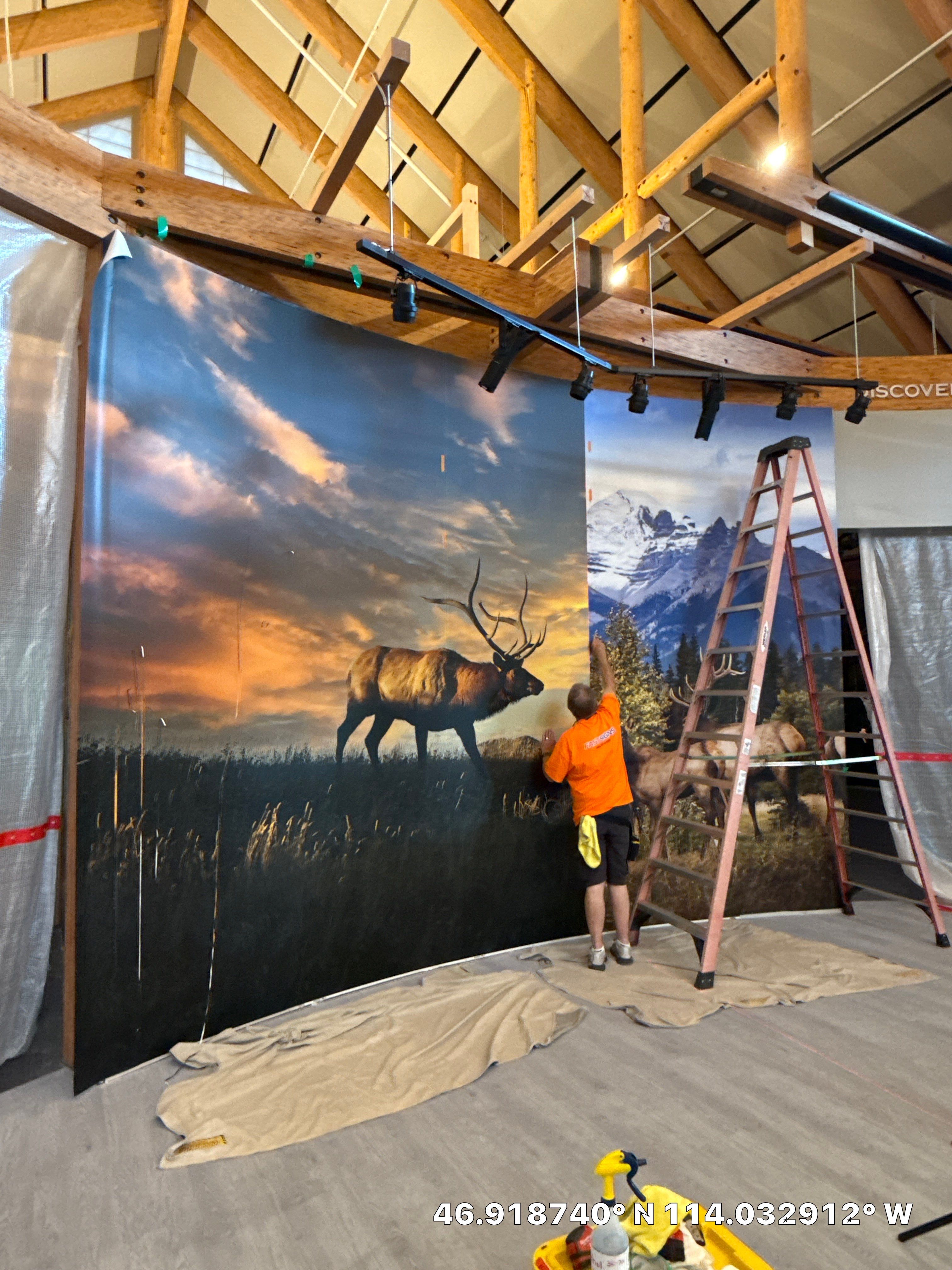 Rocky Mountain Elk Foundation Wall Mural  by FASTSIGNS of Missoula