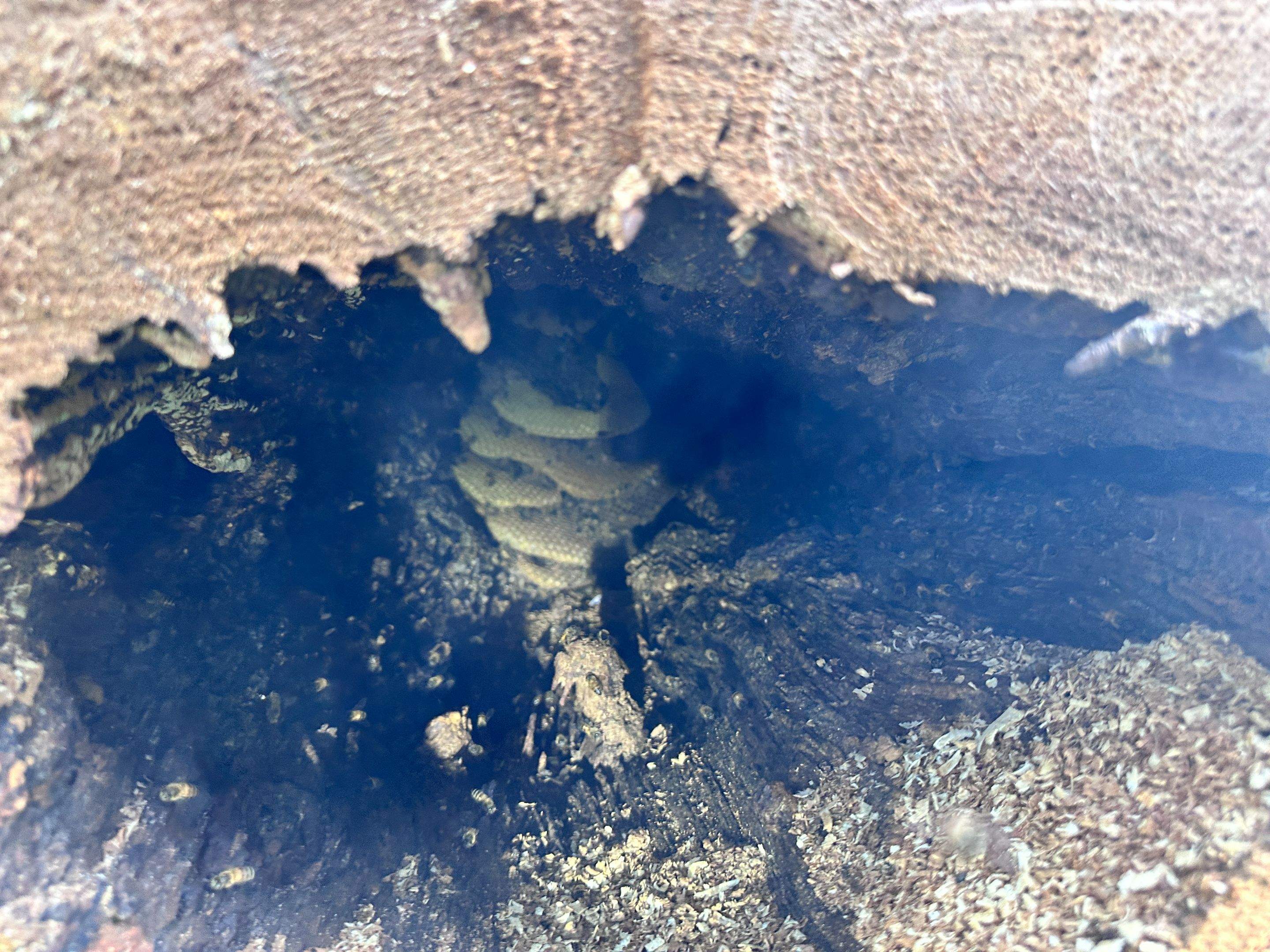 Wina-tree-go by Rockwall Honey Bee Company