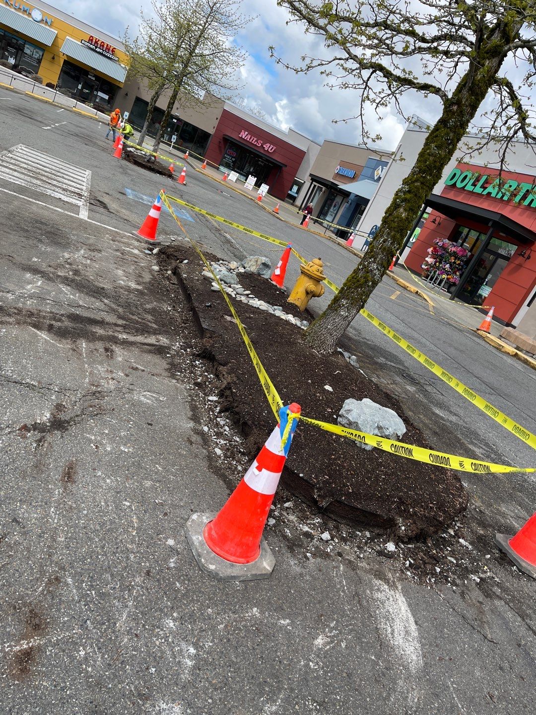 Colliers - Woodinville New Asphalt Parking Lot by Jireh Asphalt & Concrete Inc 