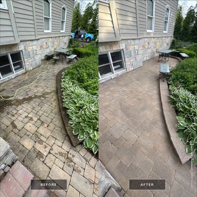 Project in Algonquin