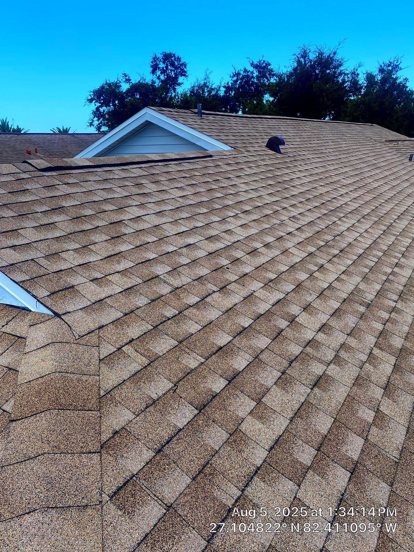 Shingle - Full Roof Replacement