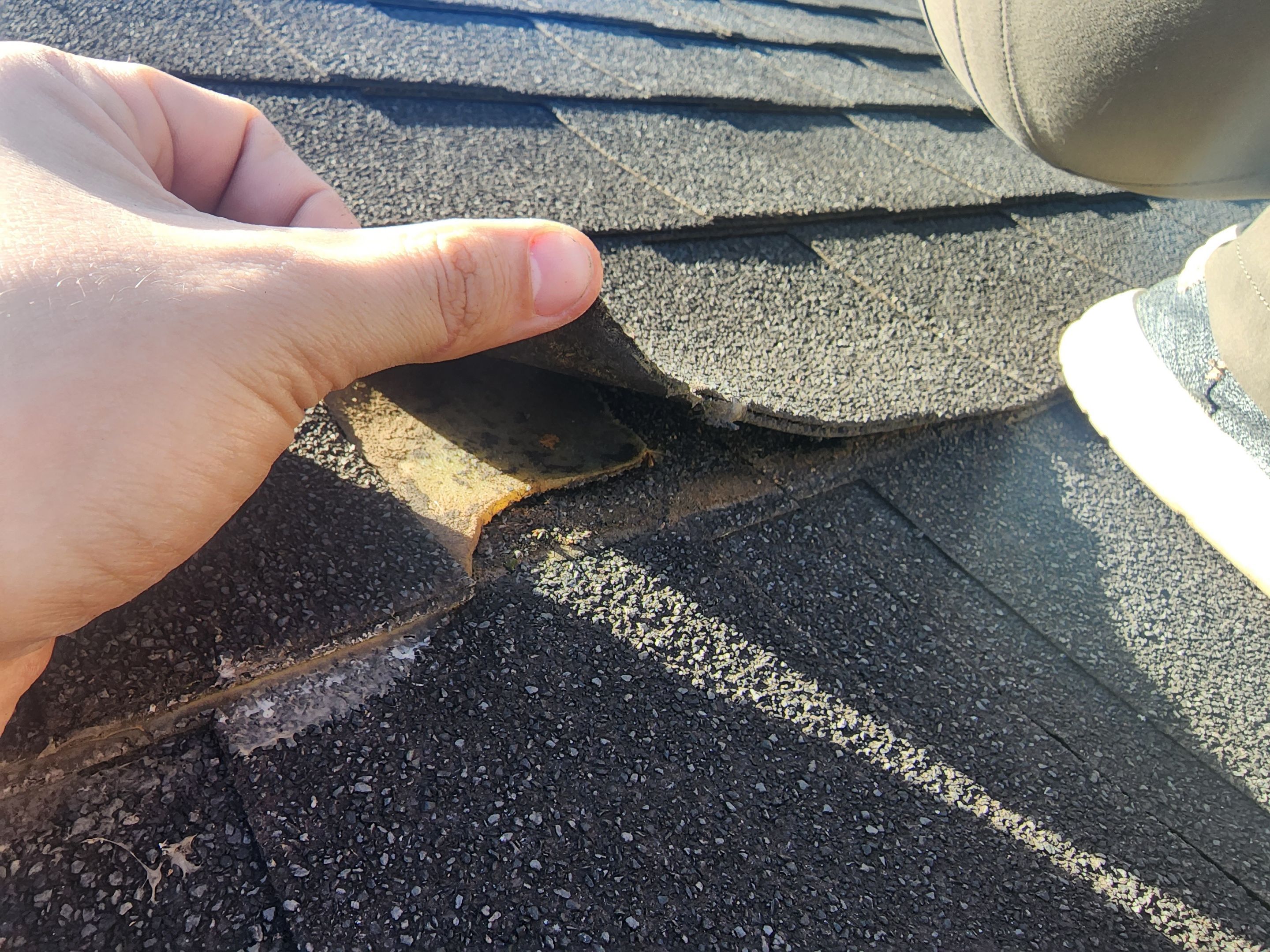 Residential Shingle Reroof using Malarkey Vista by Hostetler Roofing