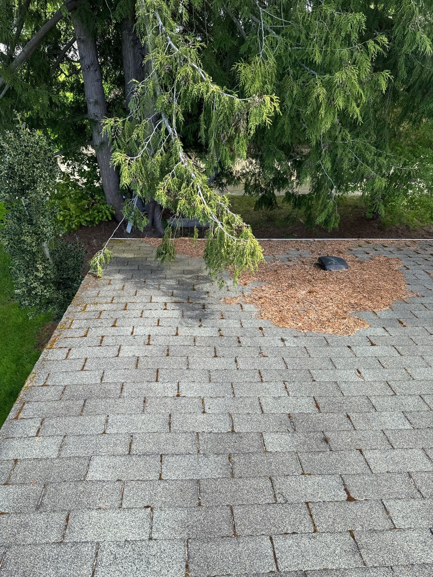 Project in Anacortes by Connolly Construction Company