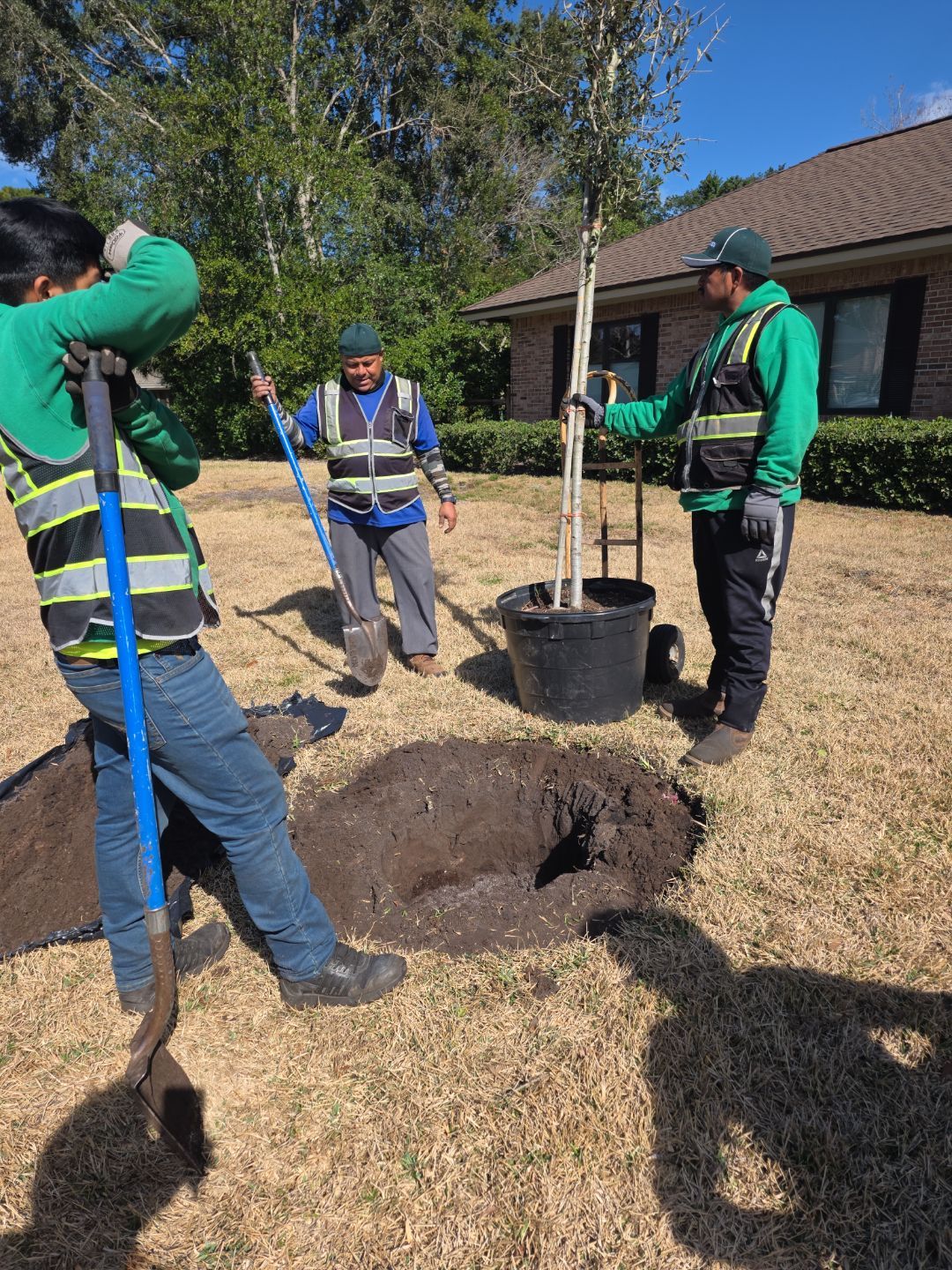 Deerwood Resident | Tree Install by ProGreen Services