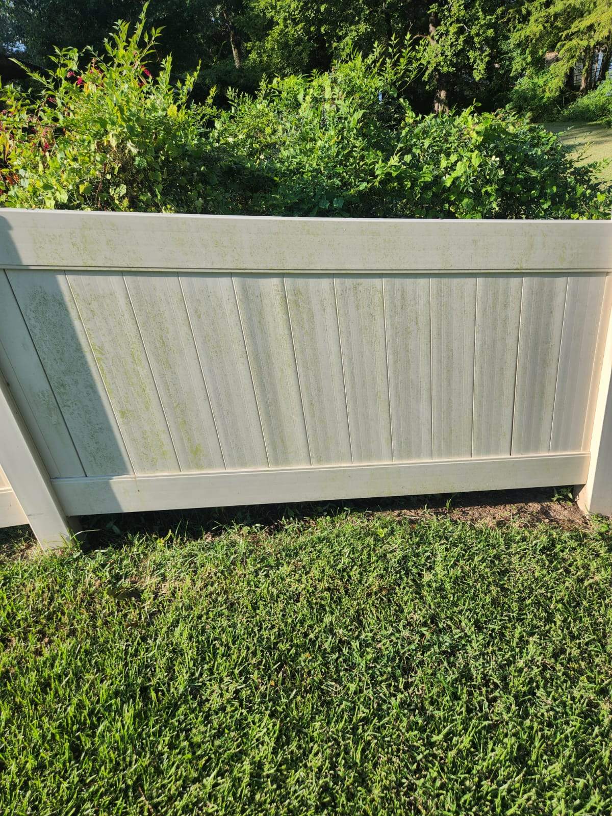 Fence Soft Wash by College Bros Outdoor services