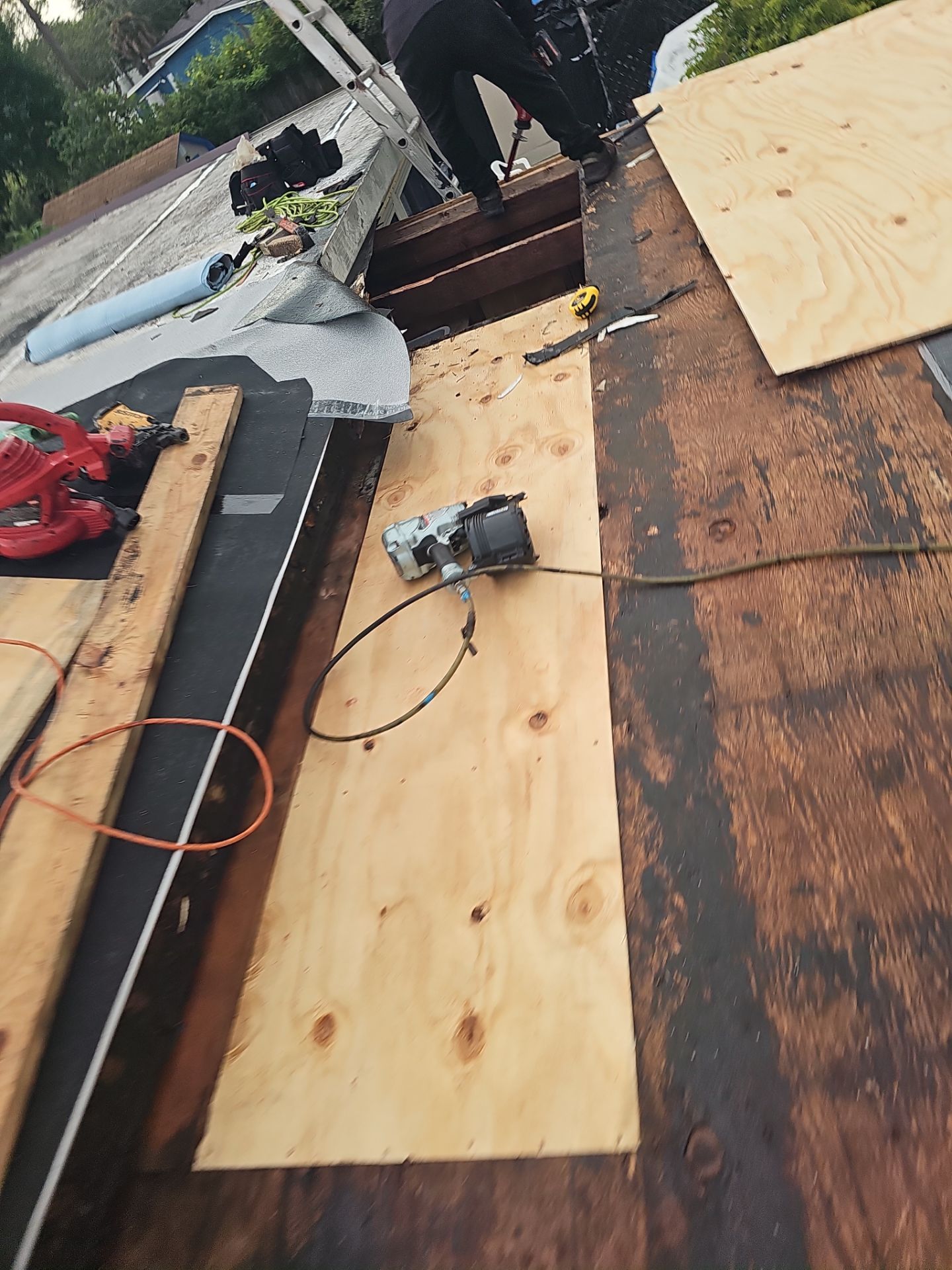 Project in Pinellas Park 33781 by Mitchell Roofing Company LLC