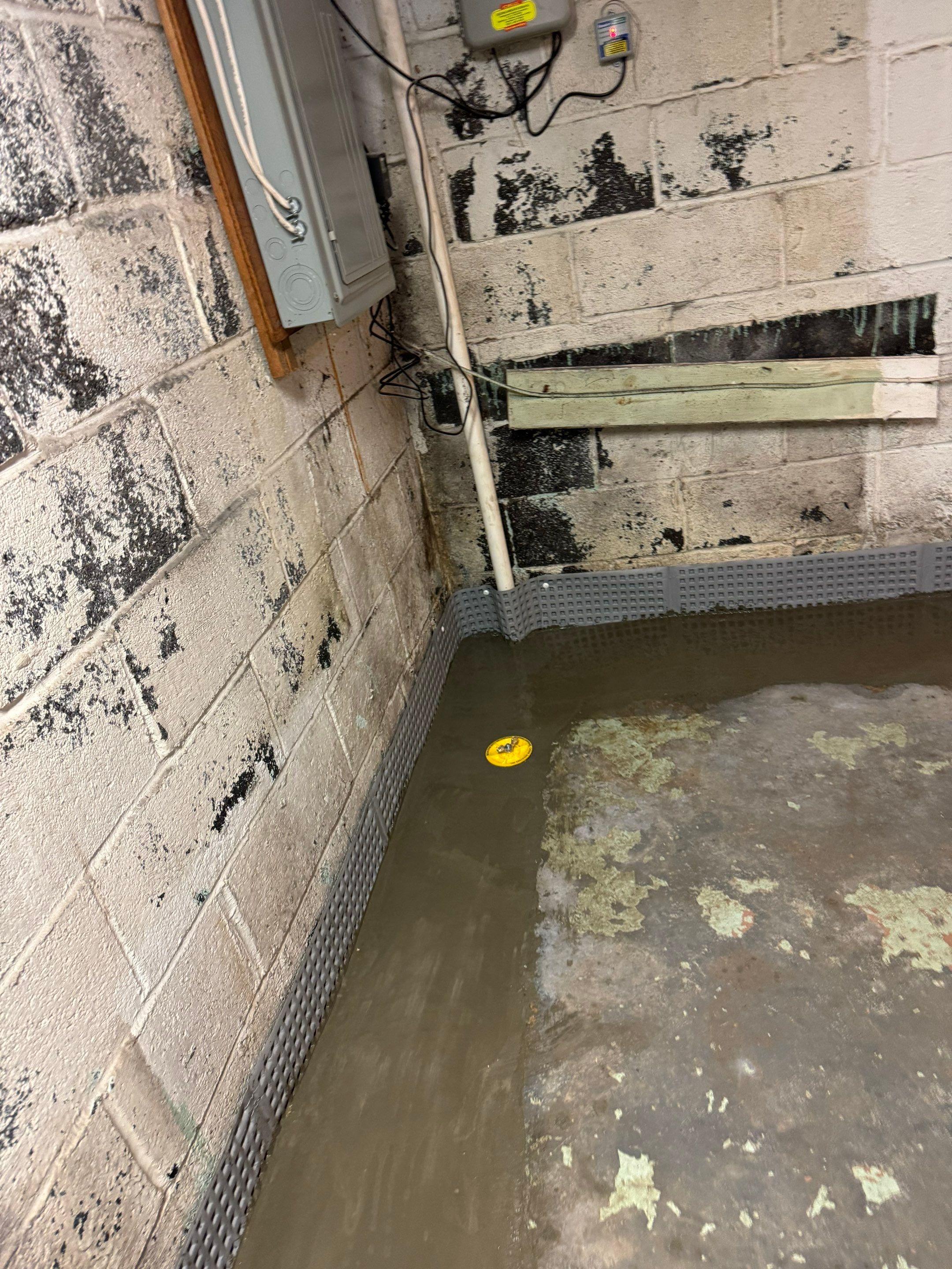 Basement Waterproofing River Edge NJ by Pure Service Pro, LLC 