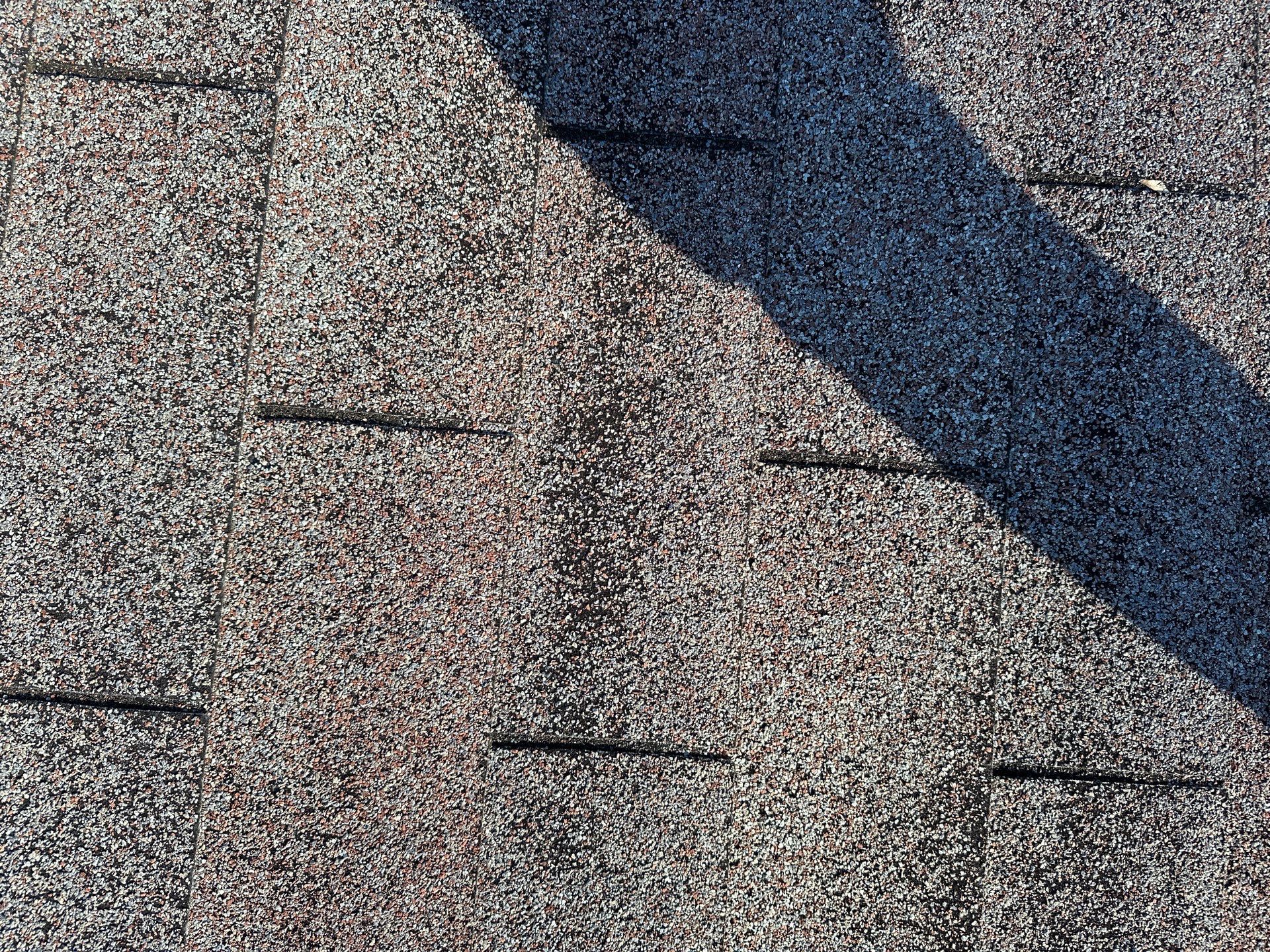 The Schwartzes by United Contracting and Roofing