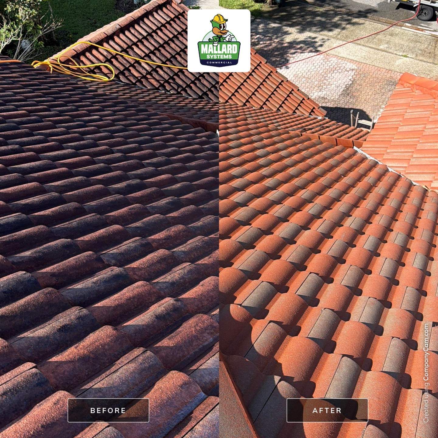 Residential Roof Cleaning in Dr. Phillips by Mallard Systems