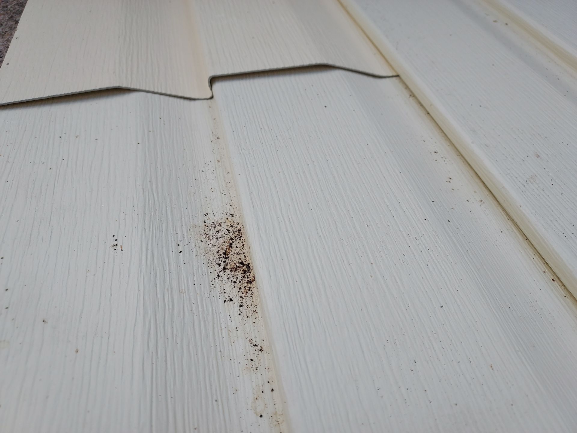 Jonathon Salmons Hail & Tree Damage Report by Constructive Project Management