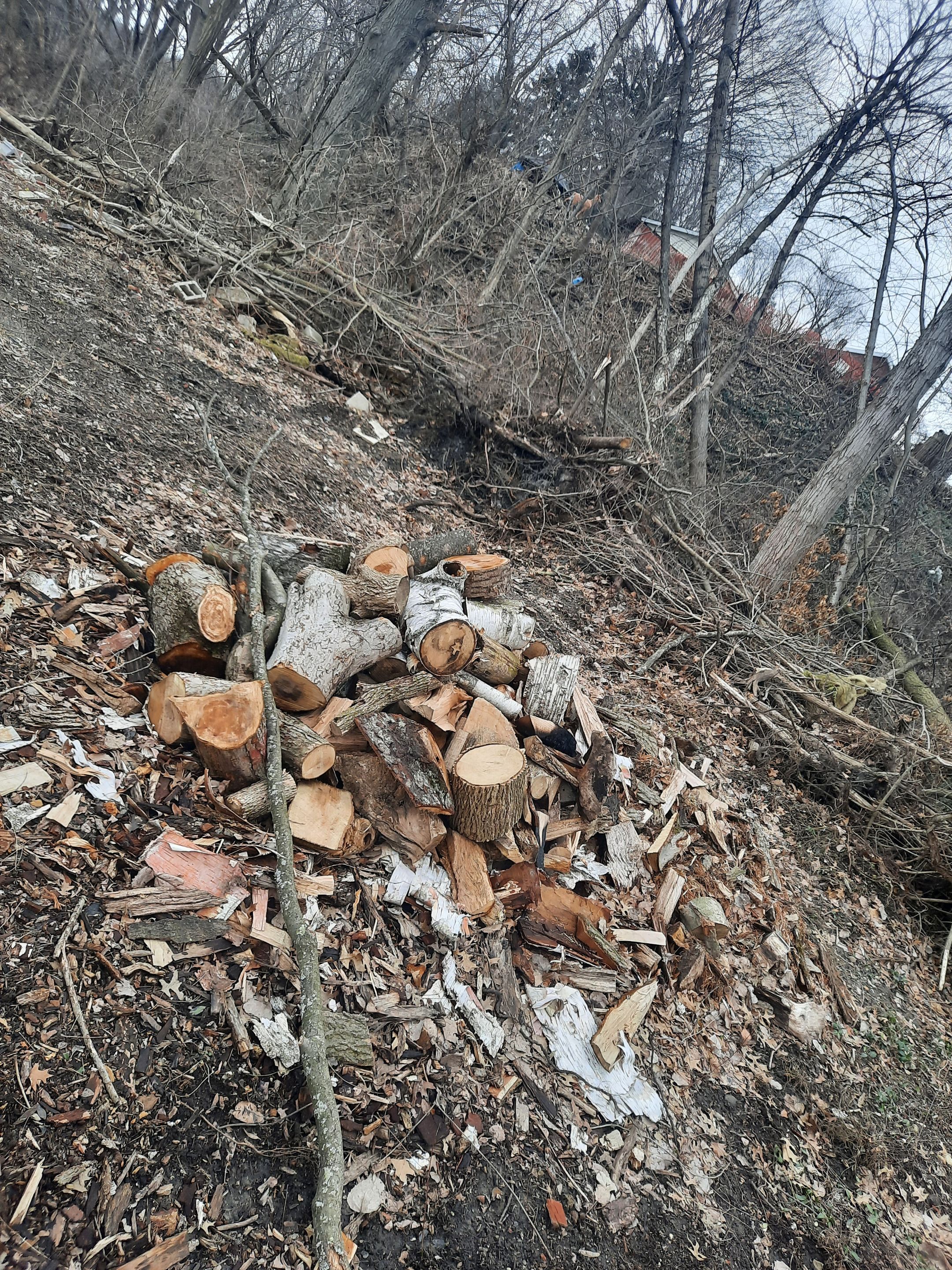 Tree Removal using Tree Removal by Mike Jones & Sons Tree Service LLC 