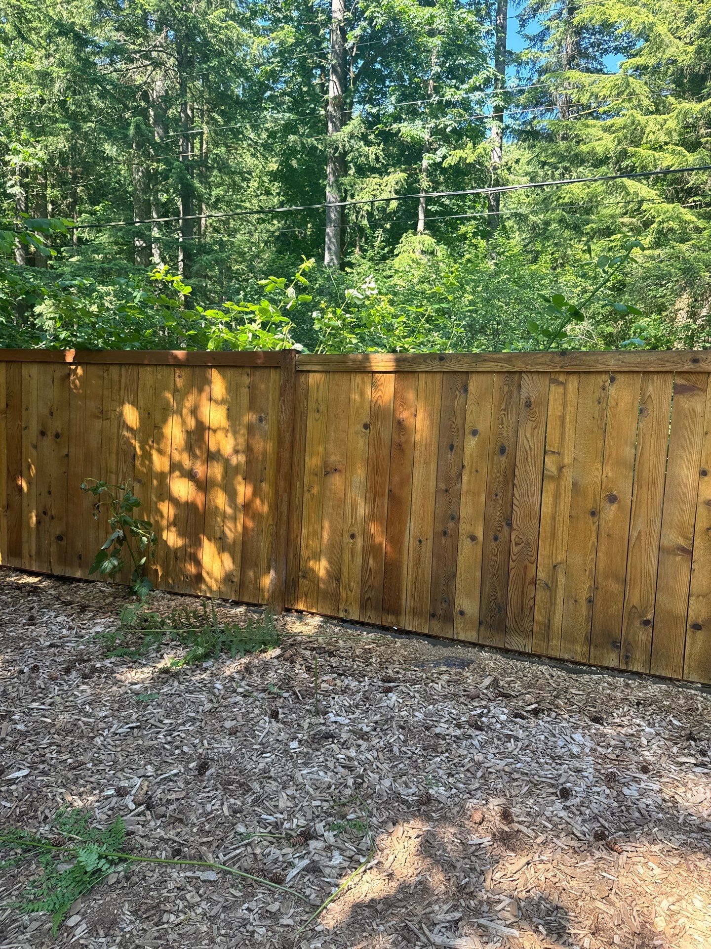 Project in North Bend by Clean Buildings