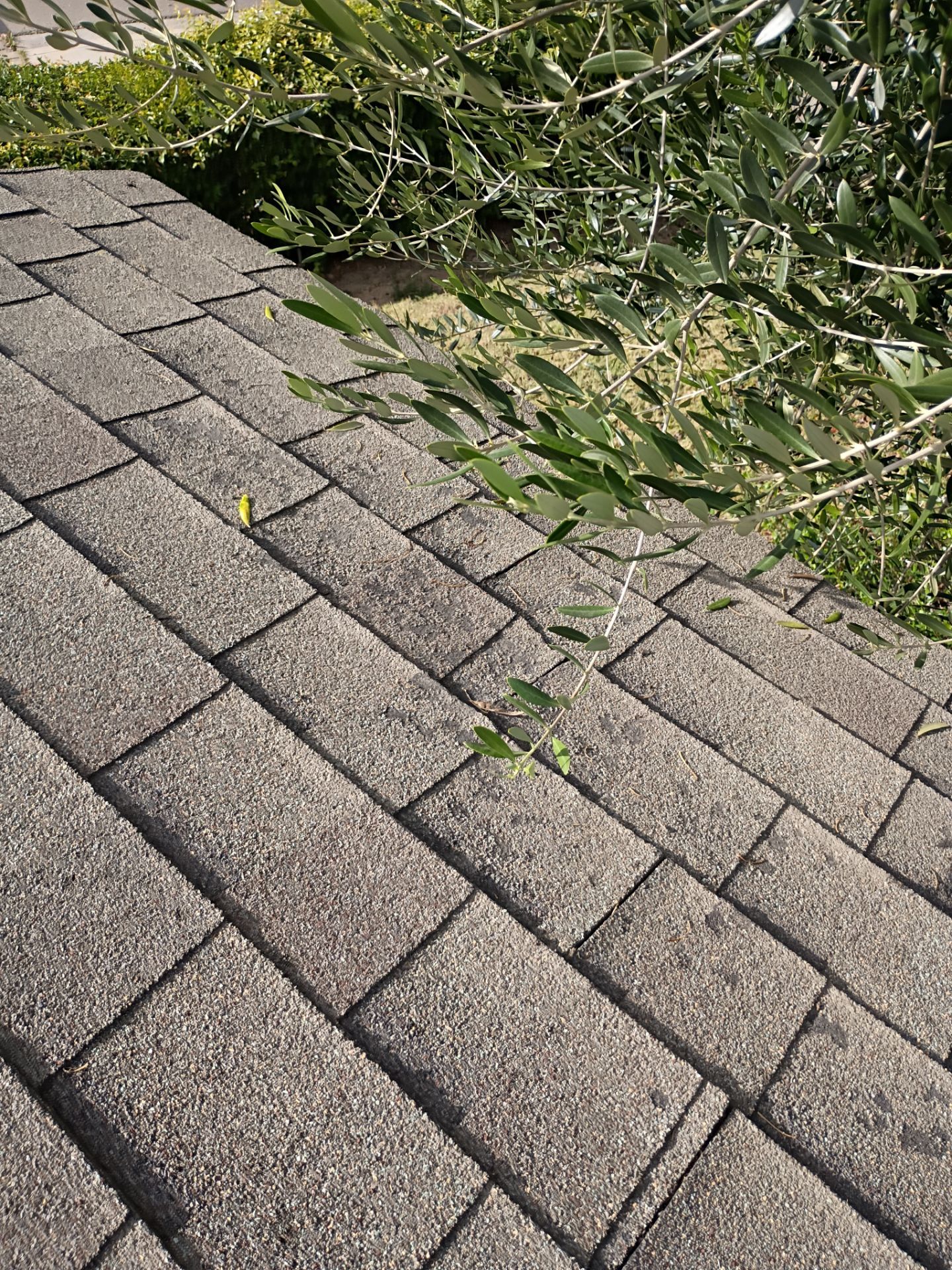 Roof Rejuvenation using Roof Maxx Treatment by Roof Maxx of Folsom