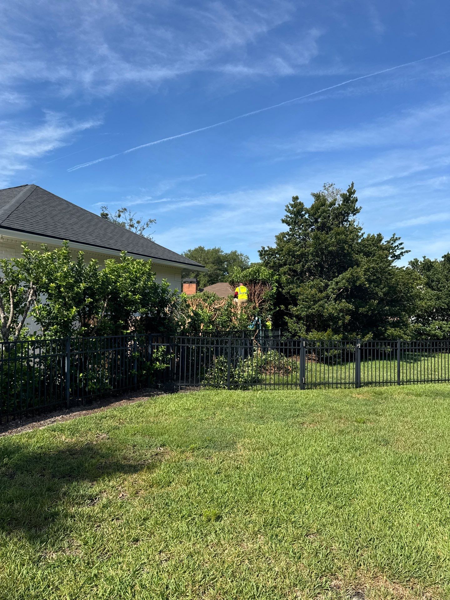 Deerwood Resident | Shrub Trimming by ProGreen Services