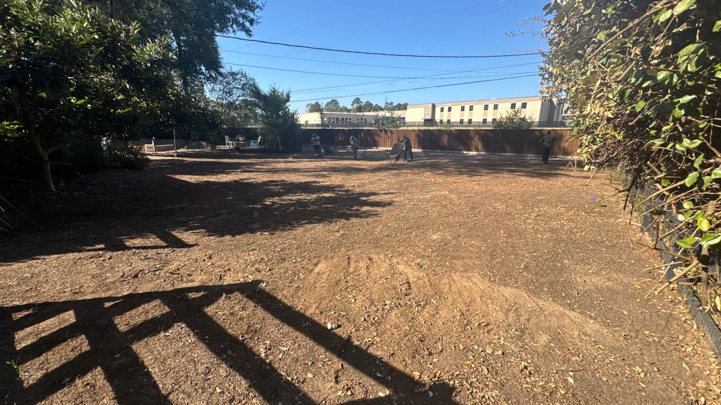 Mr. Jeff — Backyard Drainage & Grading Improvement by Texas Urban Elements