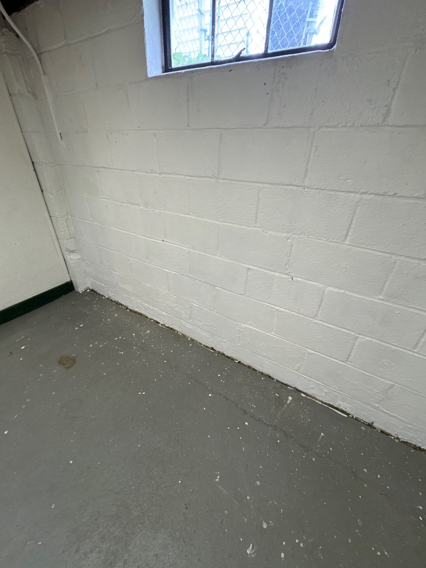 Utility Basement Mold Remediation and Sanitation Corner Case Study by Right On Time Restoration