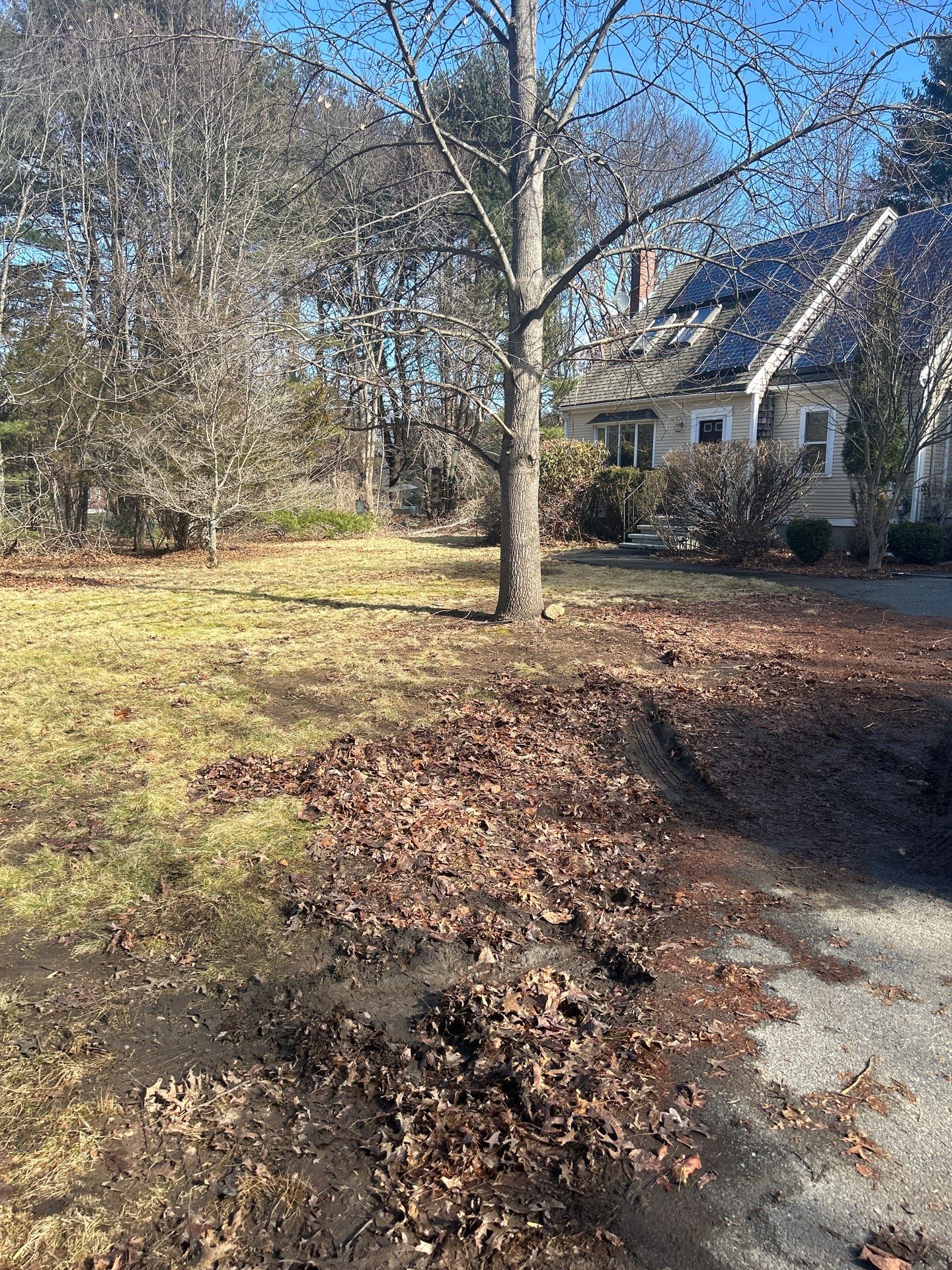 Landscape Walkthrough by LaMere Landscaping and Property Maintenance