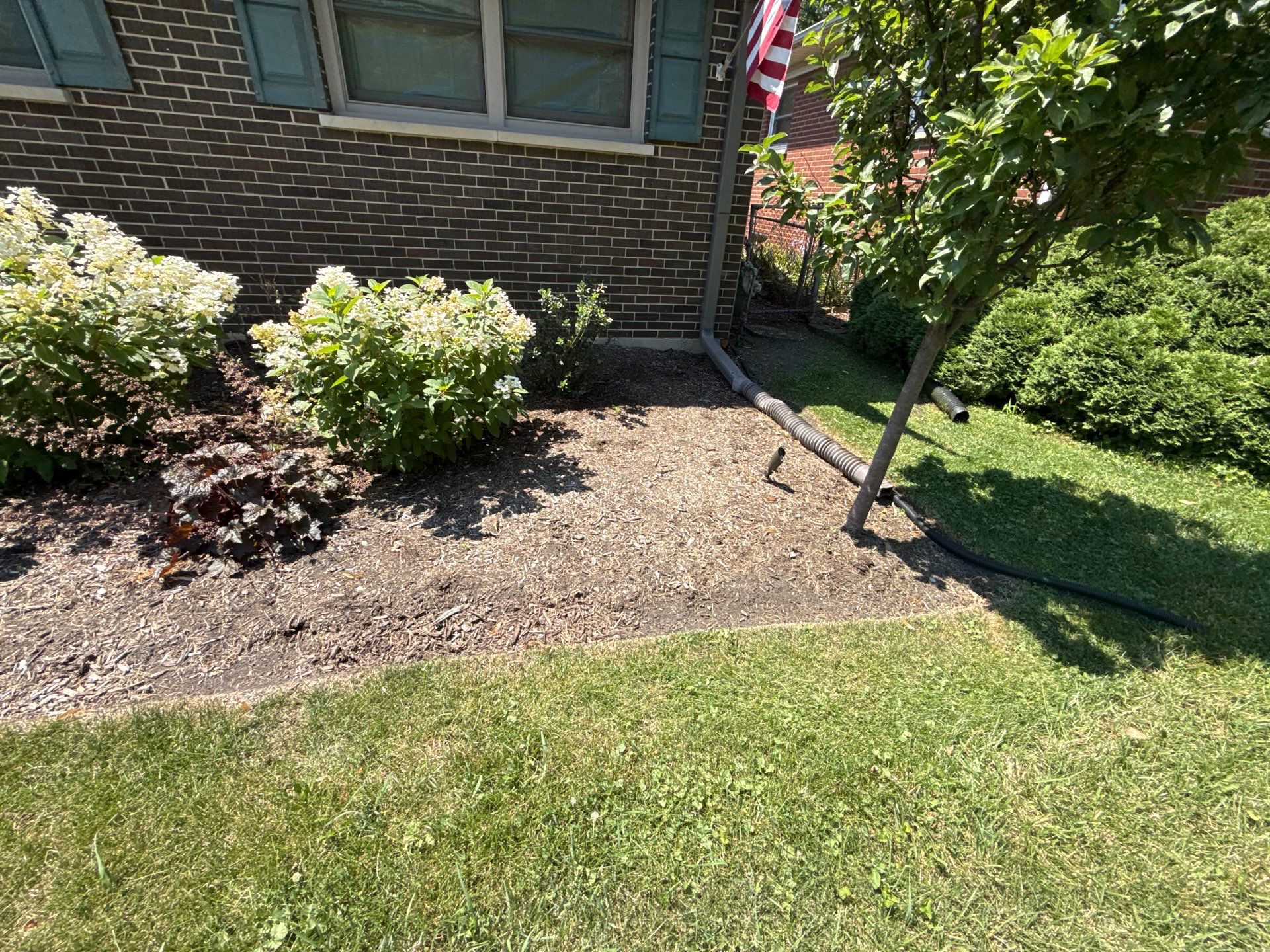 Gina K. - Mount Prospect, IL by A&N 