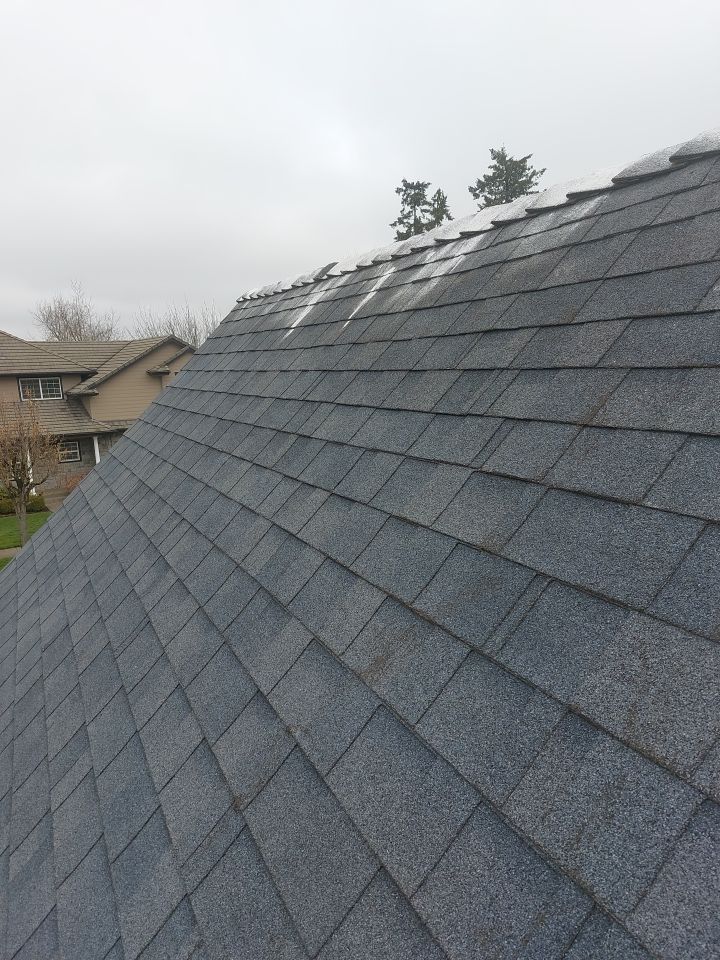 Roof Cleaning  using Moss Treatment  by BEST Roofing & Waterproofing