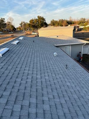 Shingle Reroof Replacement Leesburg FL