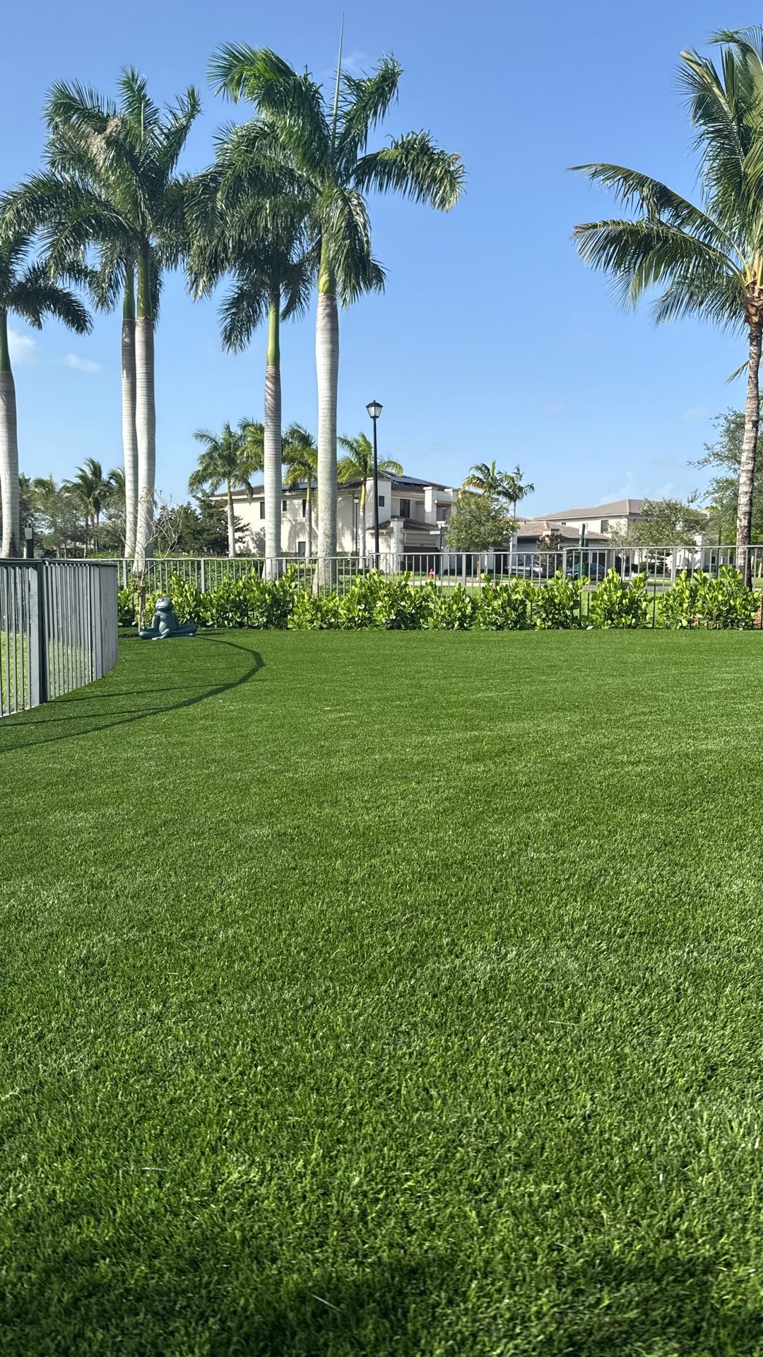 Project in Parkland by Green Image Landscaping & Tree Service