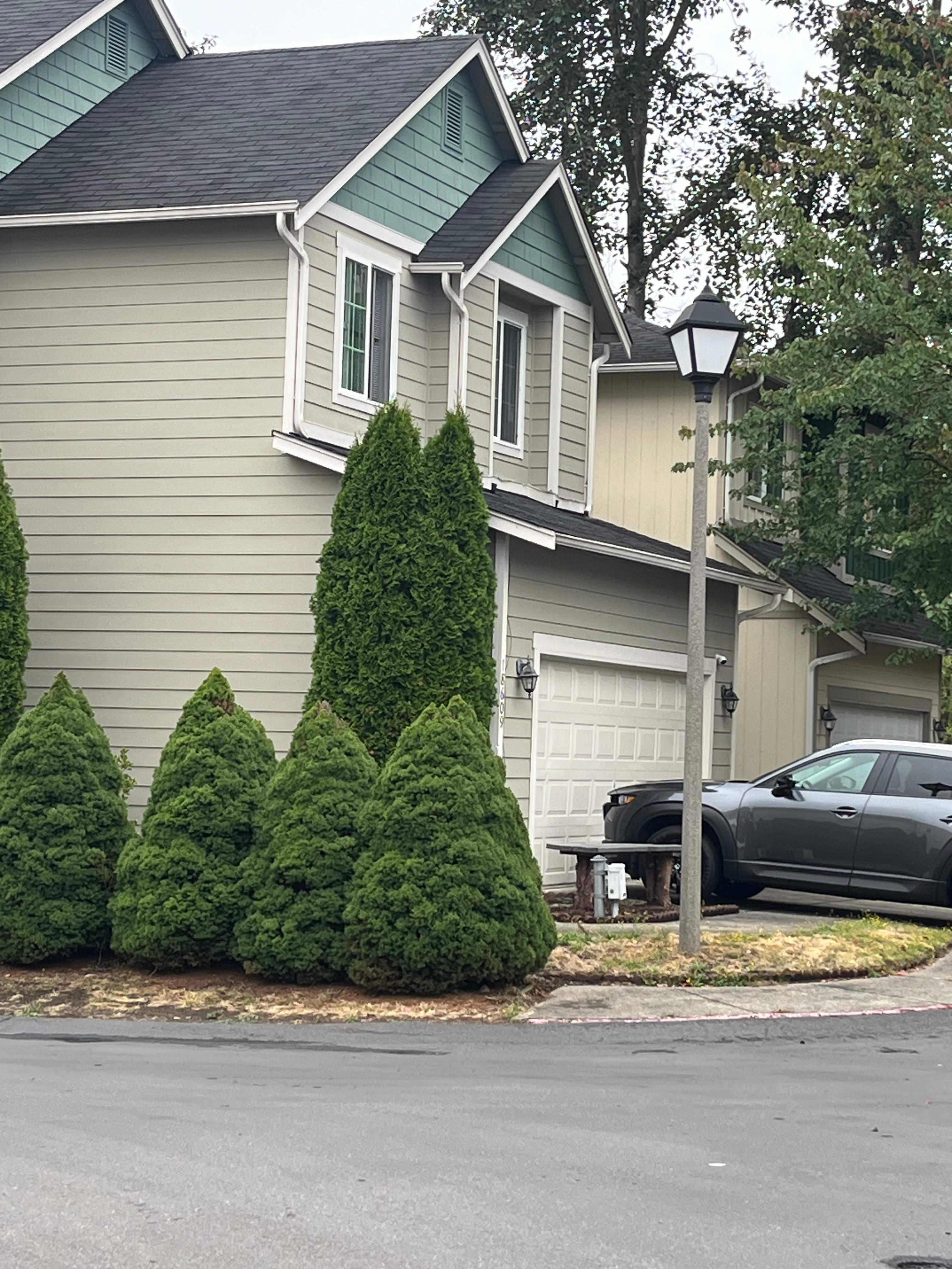 Community Street Lighting by Aztec Electric LLC