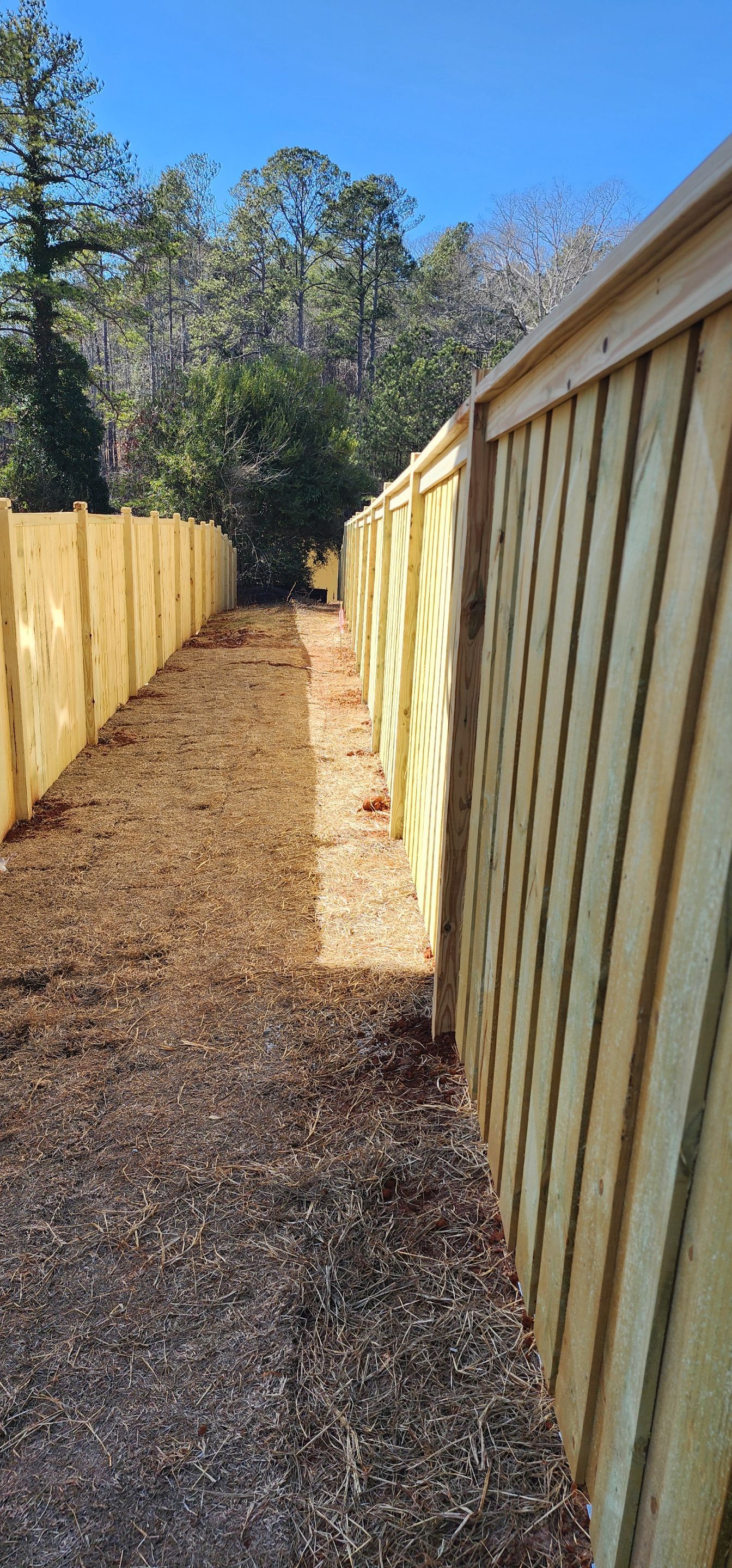 Fence Installation of Board on Board Capped Privacy by Titans of Timber Fence & Stain
