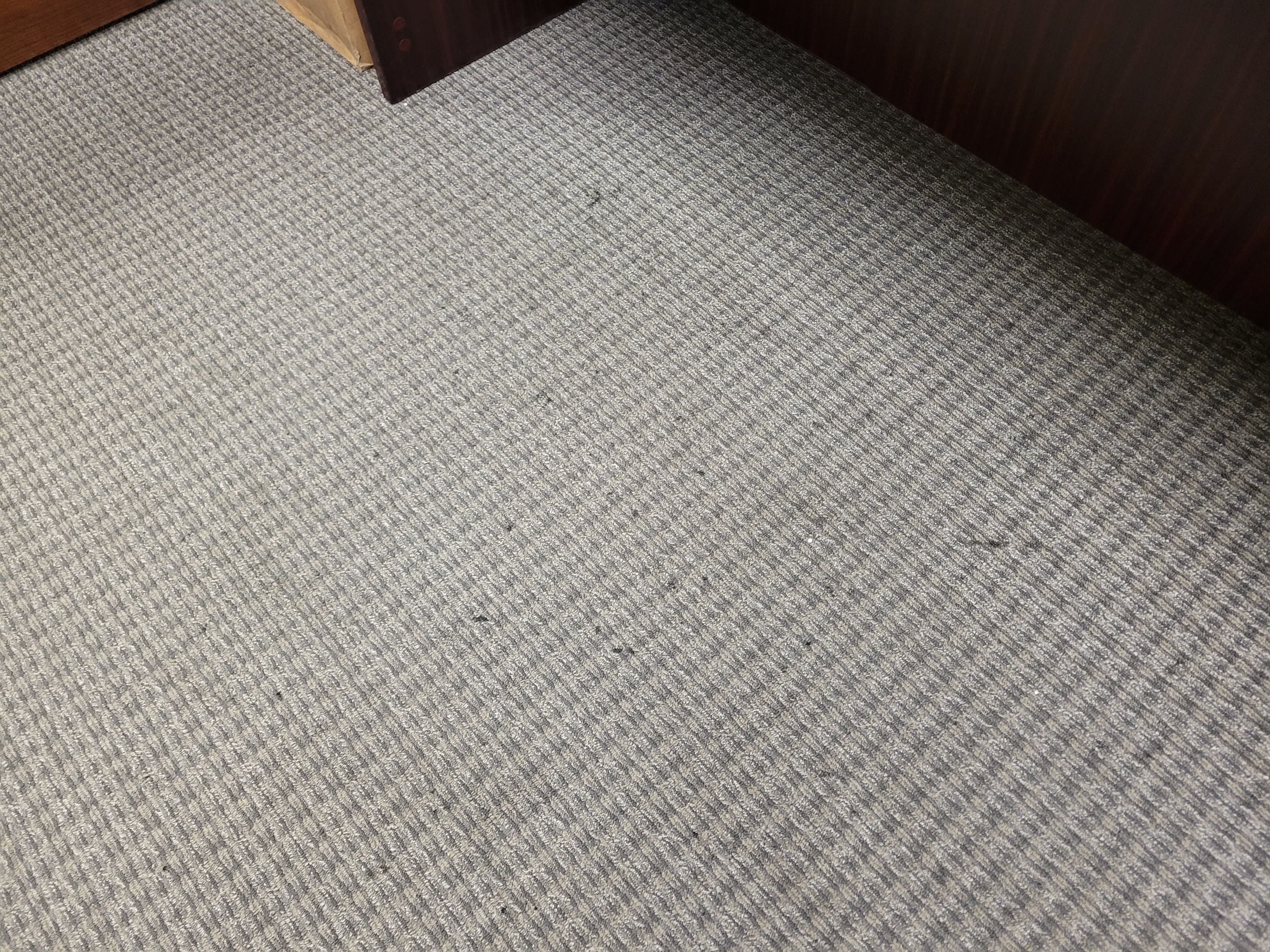 Commercial Carpet Cleaning, Quarterly by Ardent Carpet Restore LLC