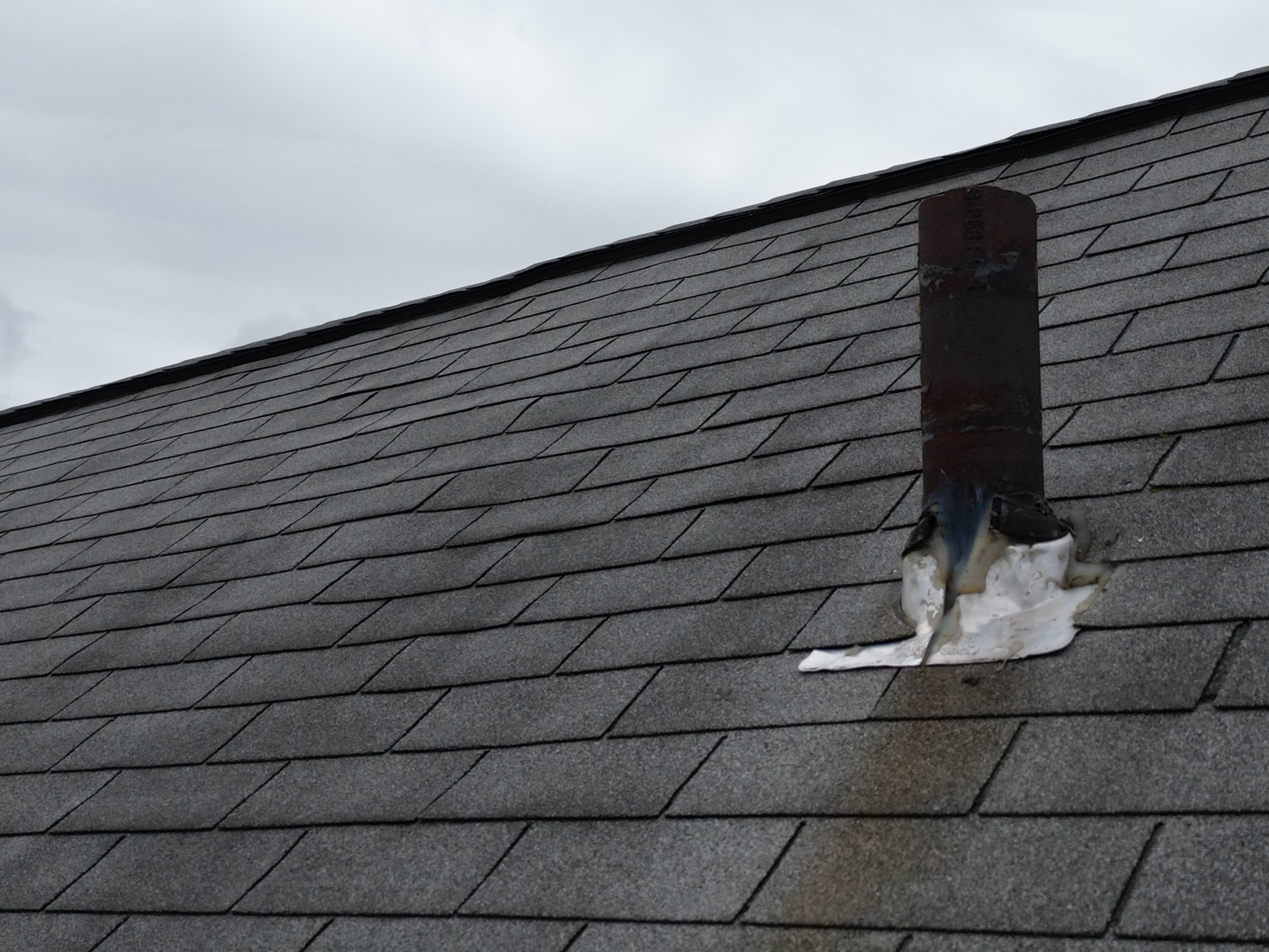 Arlington Roof Repair: Pipe Boot & Broan Vent Installation by Mighty Dog Roofing of Greater Middlesex County