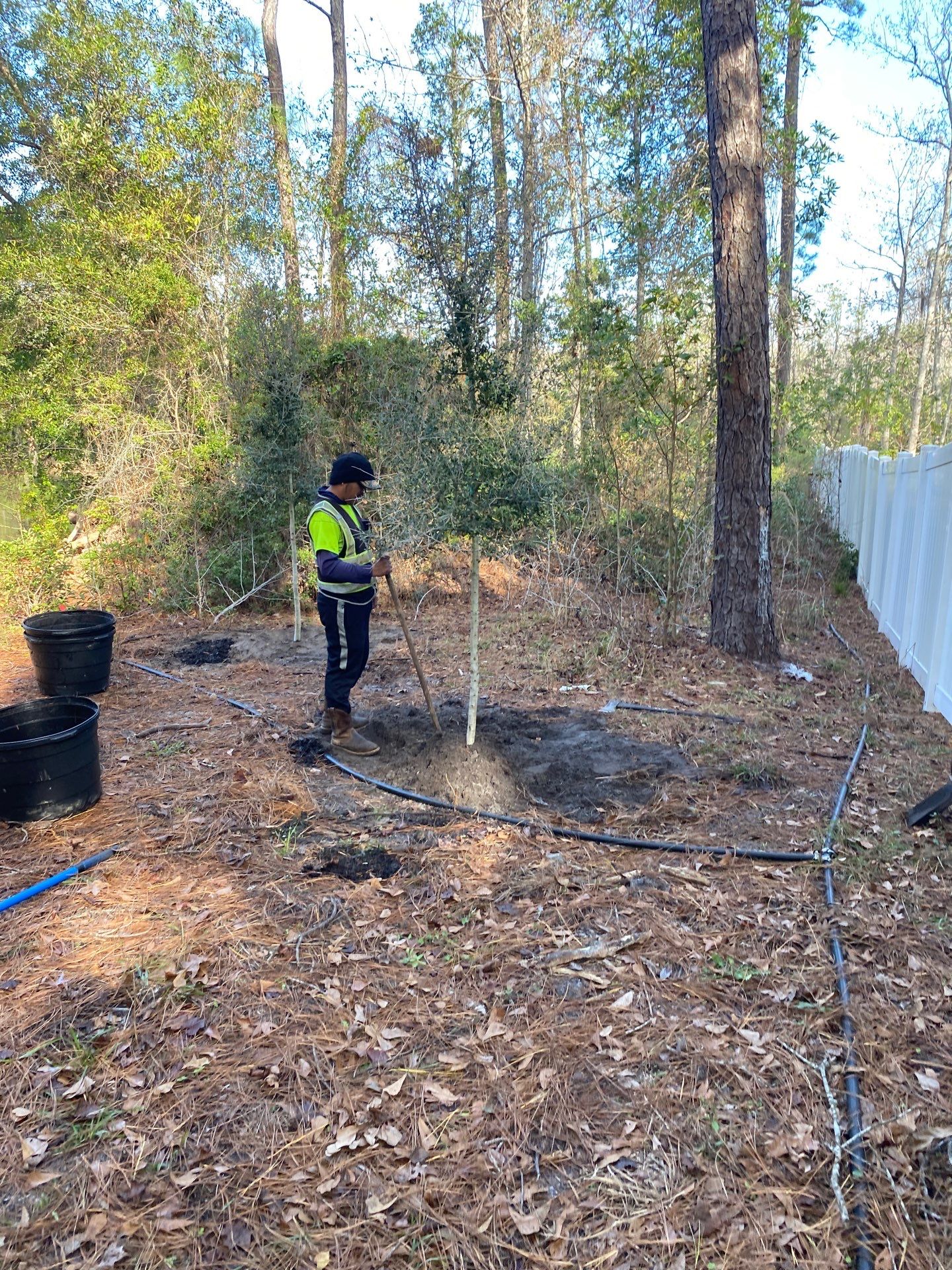 Deerwood Resident | Tree Installation by ProGreen Services