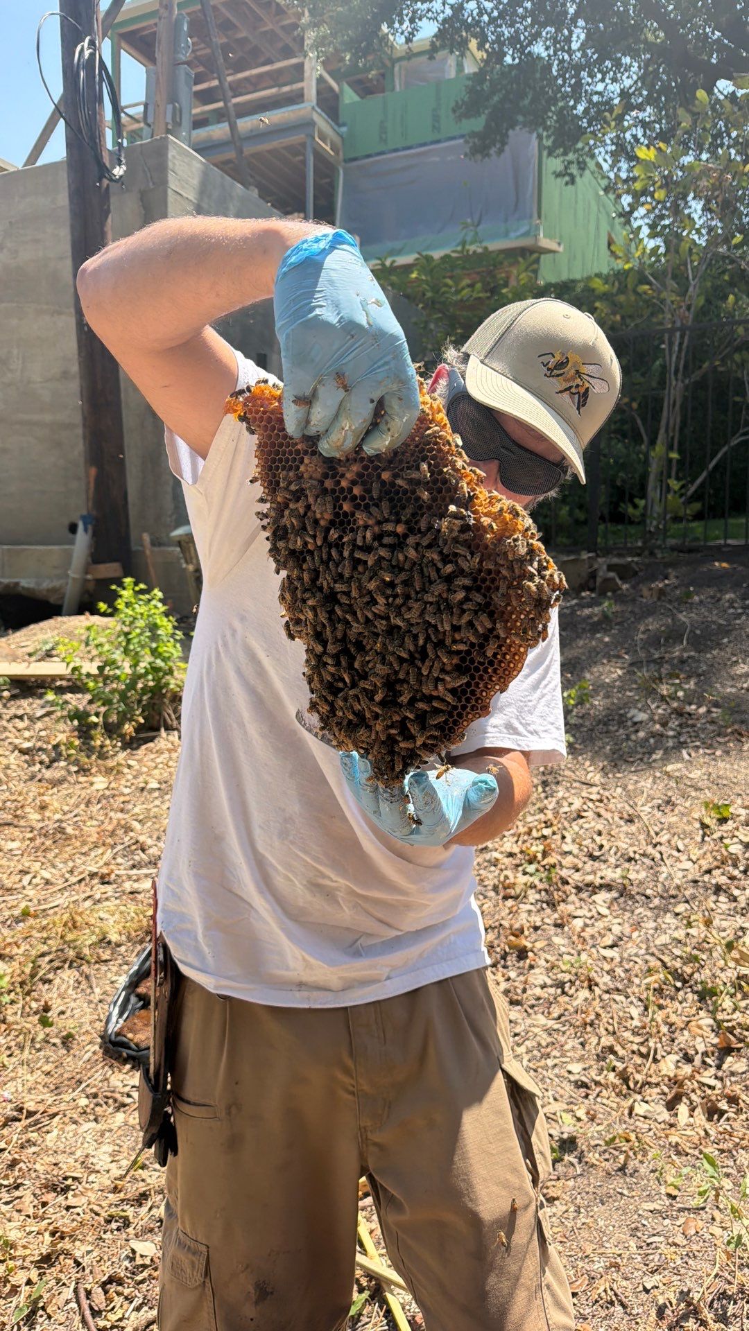 White Rock Tree by Rockwall Honey Bee Company
