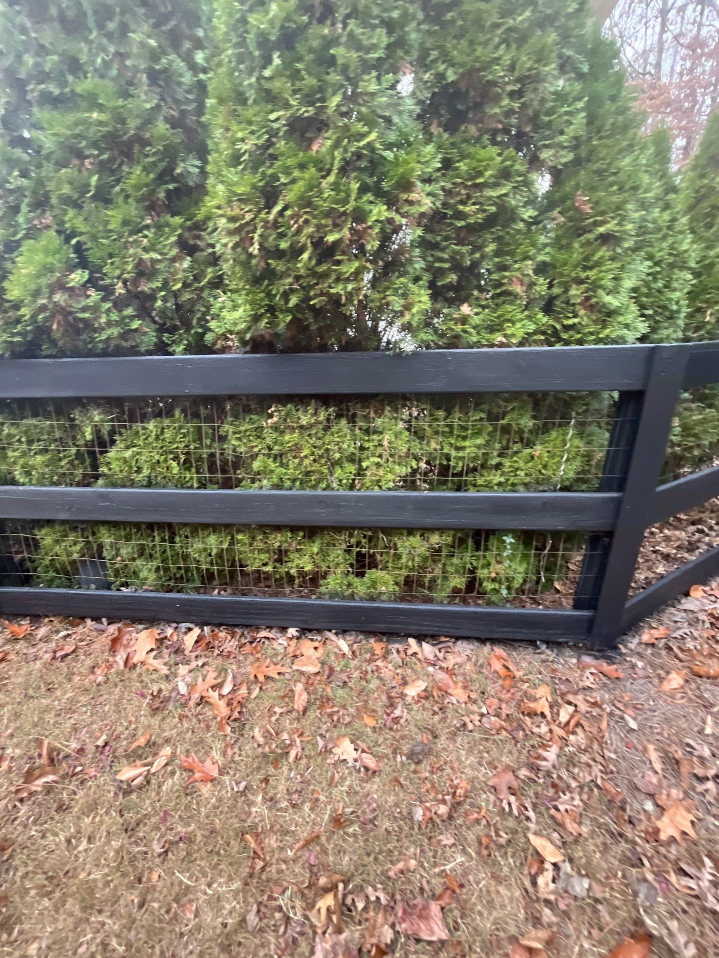 Exterior Painted Brick In Suwanee by Five Star Painting