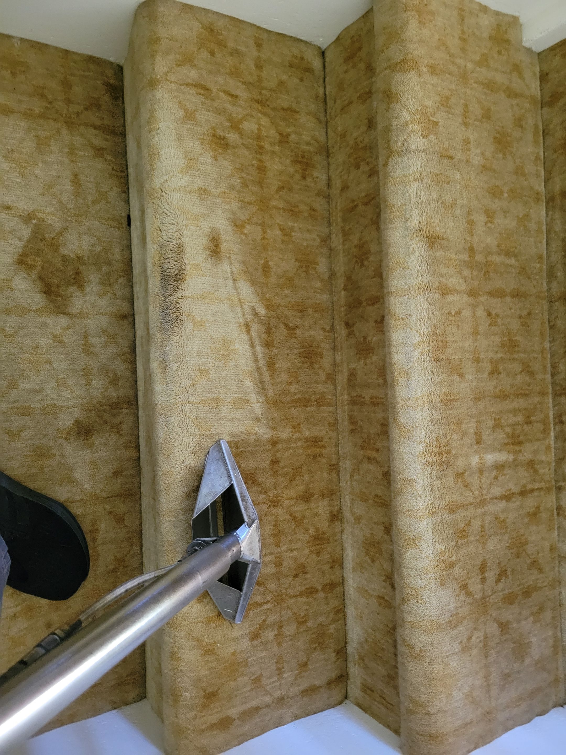 Carpet Cleaning of a Wool Staircase by Ardent Carpet Restore LLC