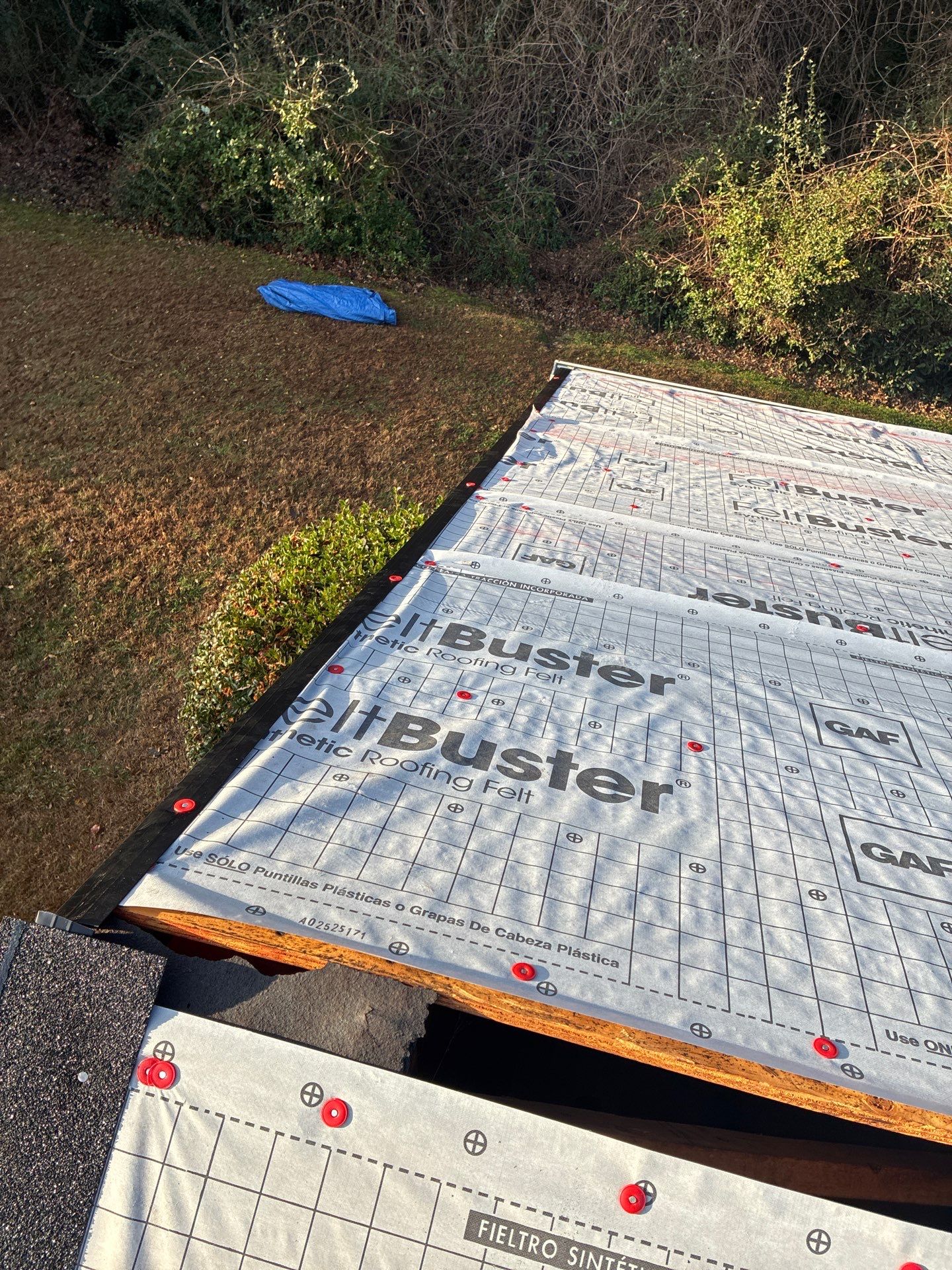 Susan Collins by United Contracting and Roofing