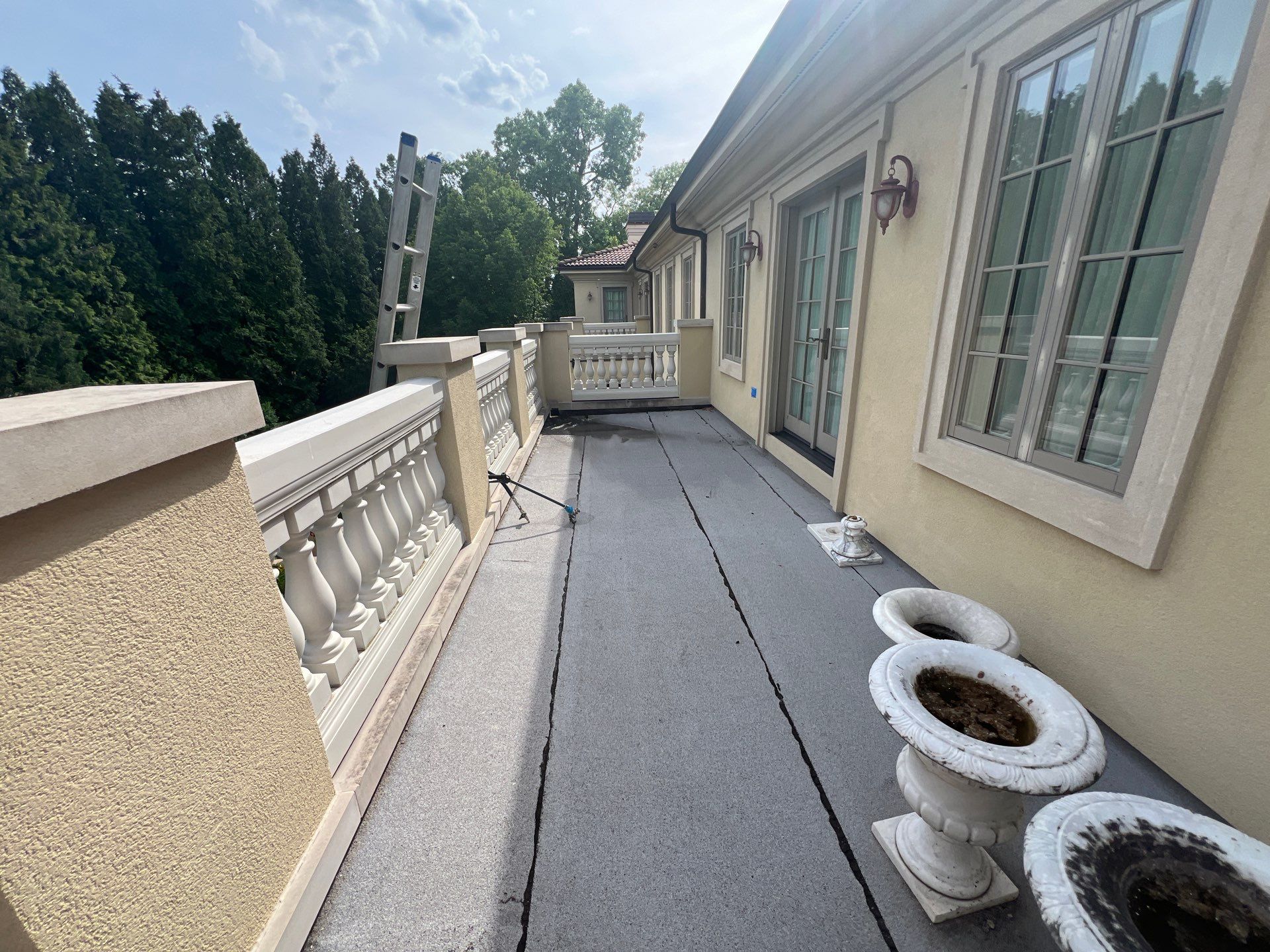 concrete cleaning using Algaecide, soft wash soap by Northern Power Washing LLC.
