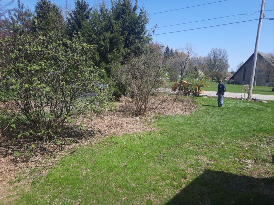 Tree Removal using Tree Removal by Mike Jones & Sons Tree Service LLC 