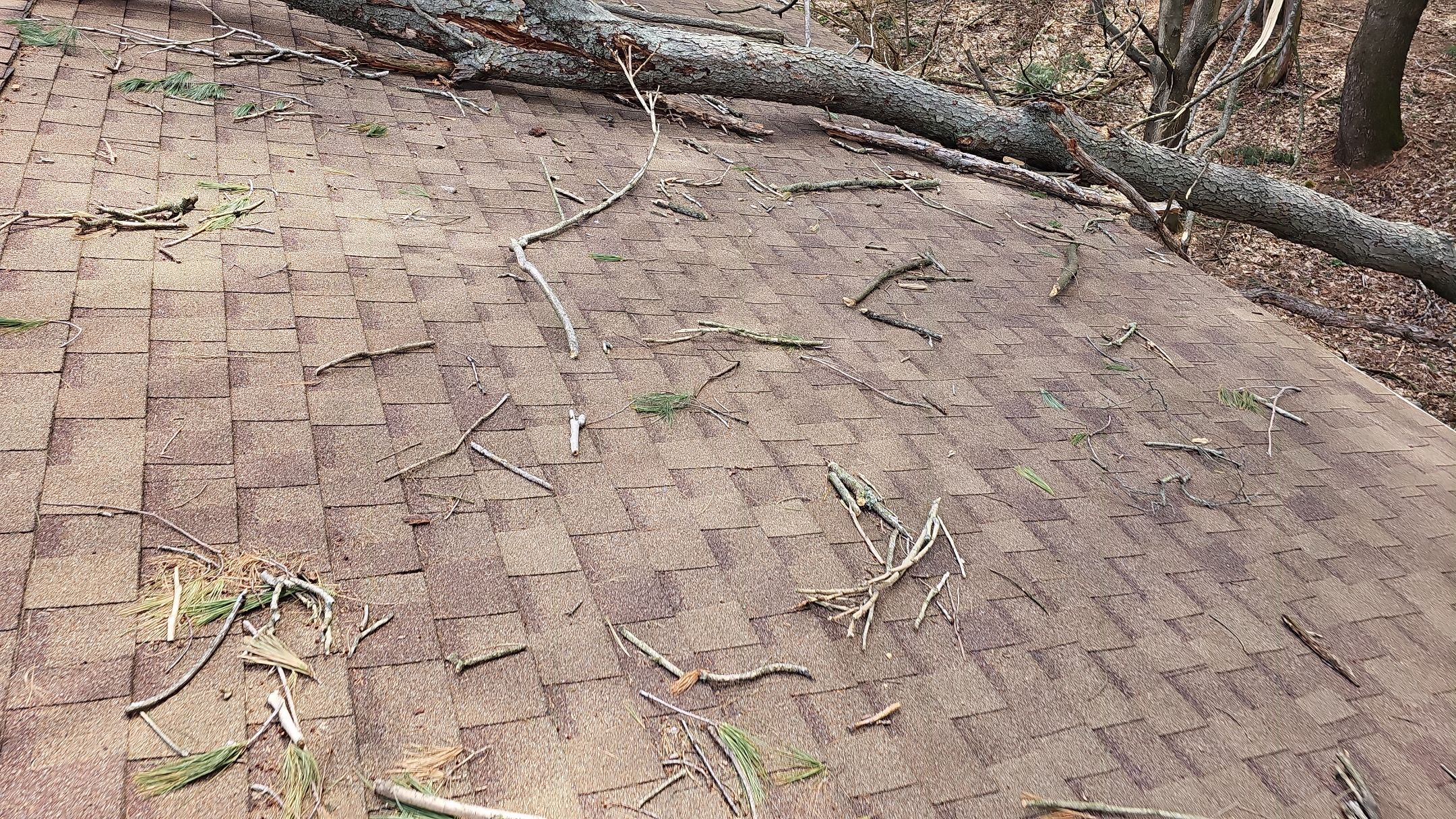 ATLAS PINNACLE COLOR: MORNING HARVEST by Eagle Eye Roofing