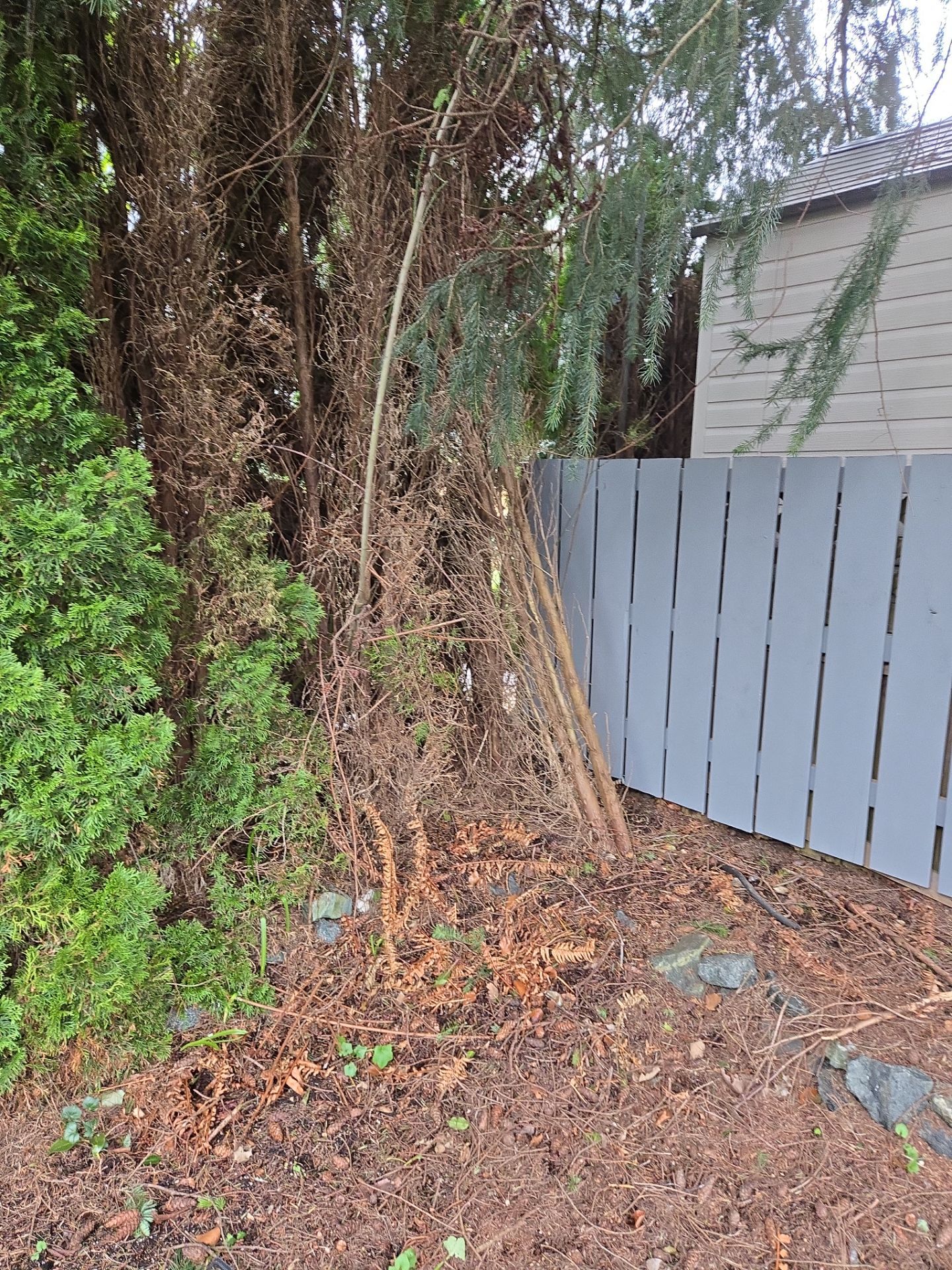 Complete backyard transformation by Habanero Garden and Exterior Care
