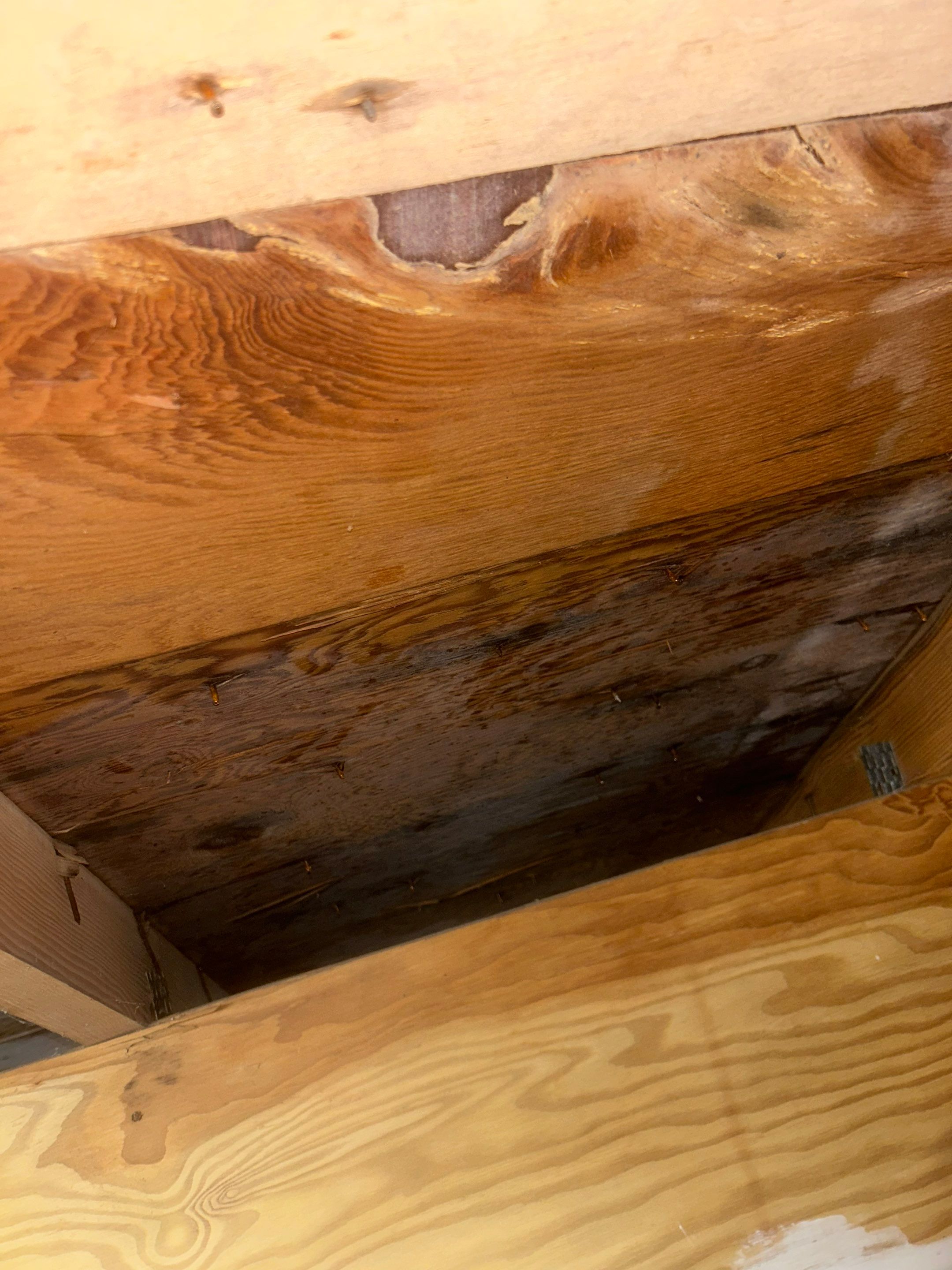 Project in Shoreline by Connolly Construction Company