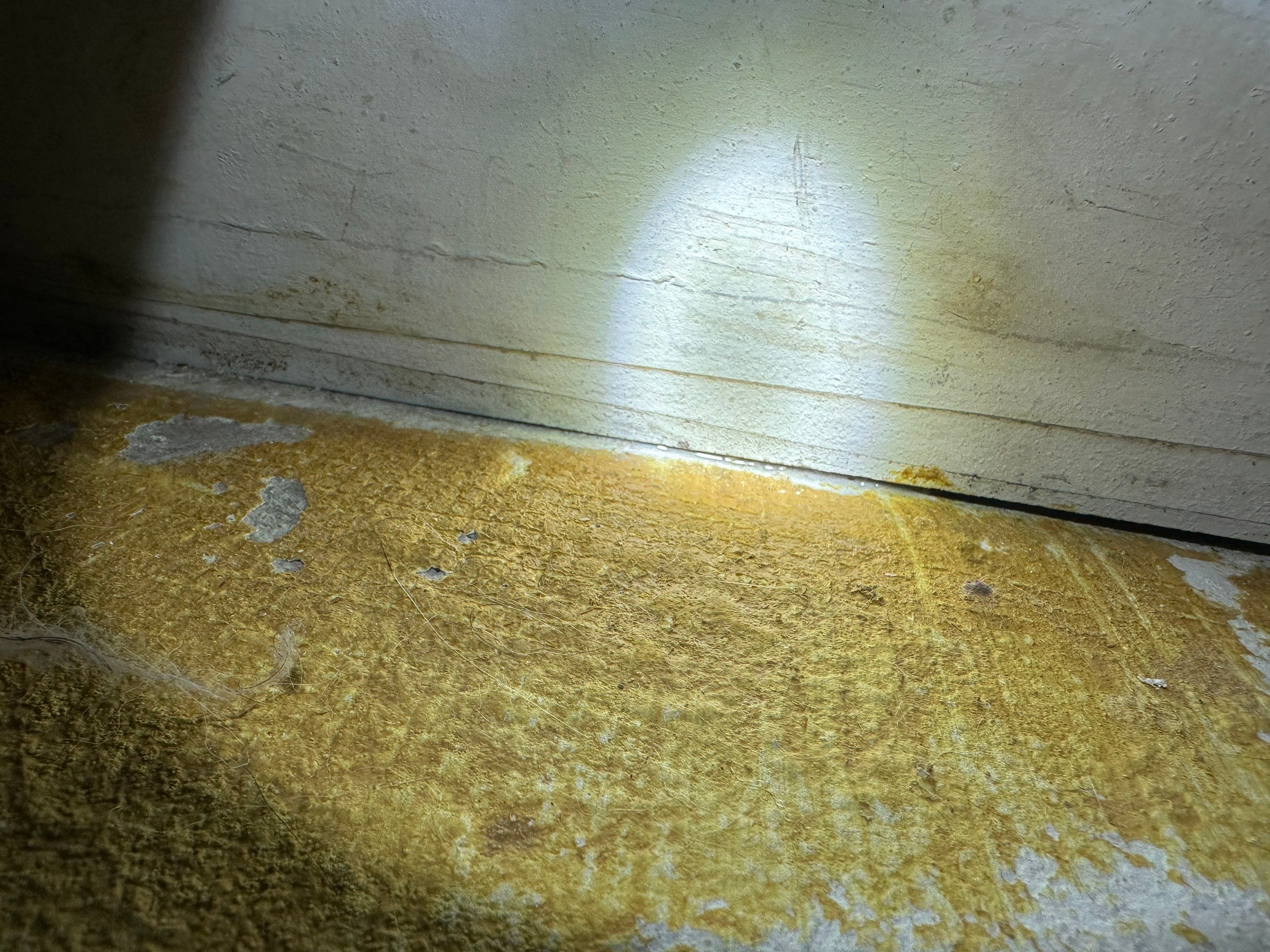 Water Damage Claim in Tamarac by FLAPA & KeyStone