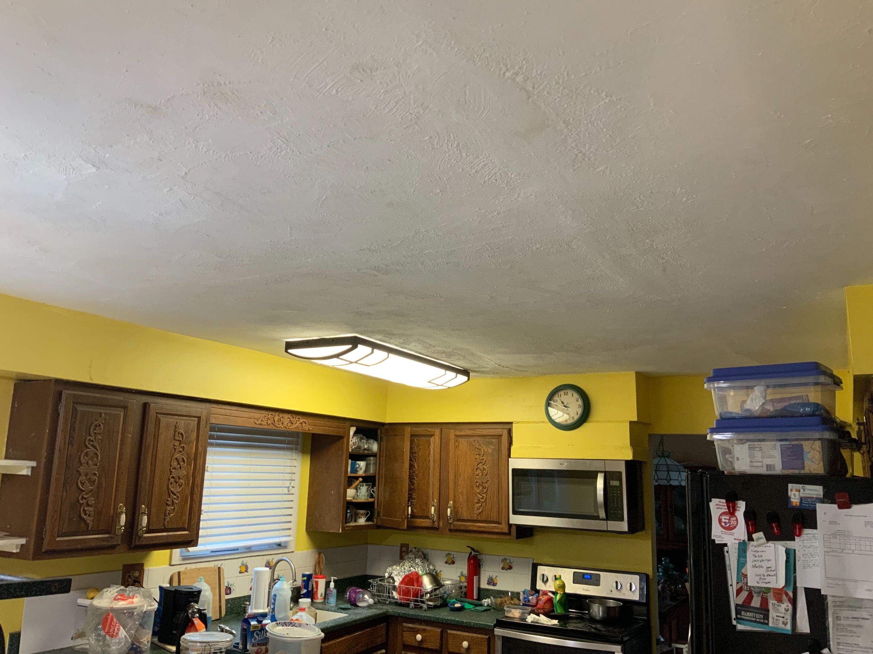 Ceiling Repair by Alpha Design Services