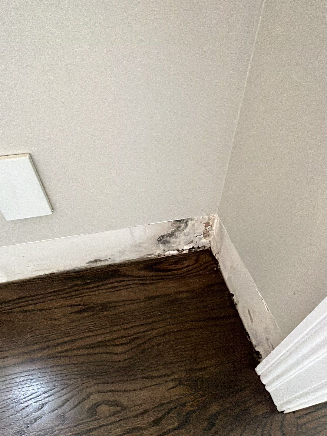 Water Damage by G2