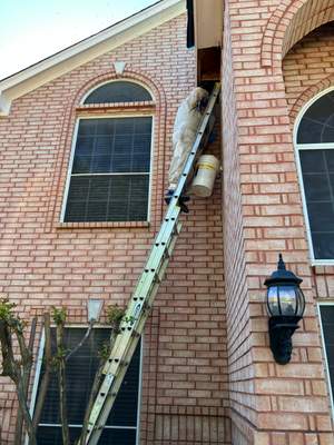 Entryway Soffit