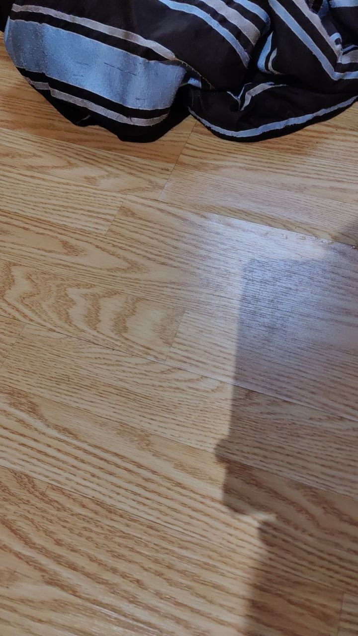 Water Damage by Accountable Home Services