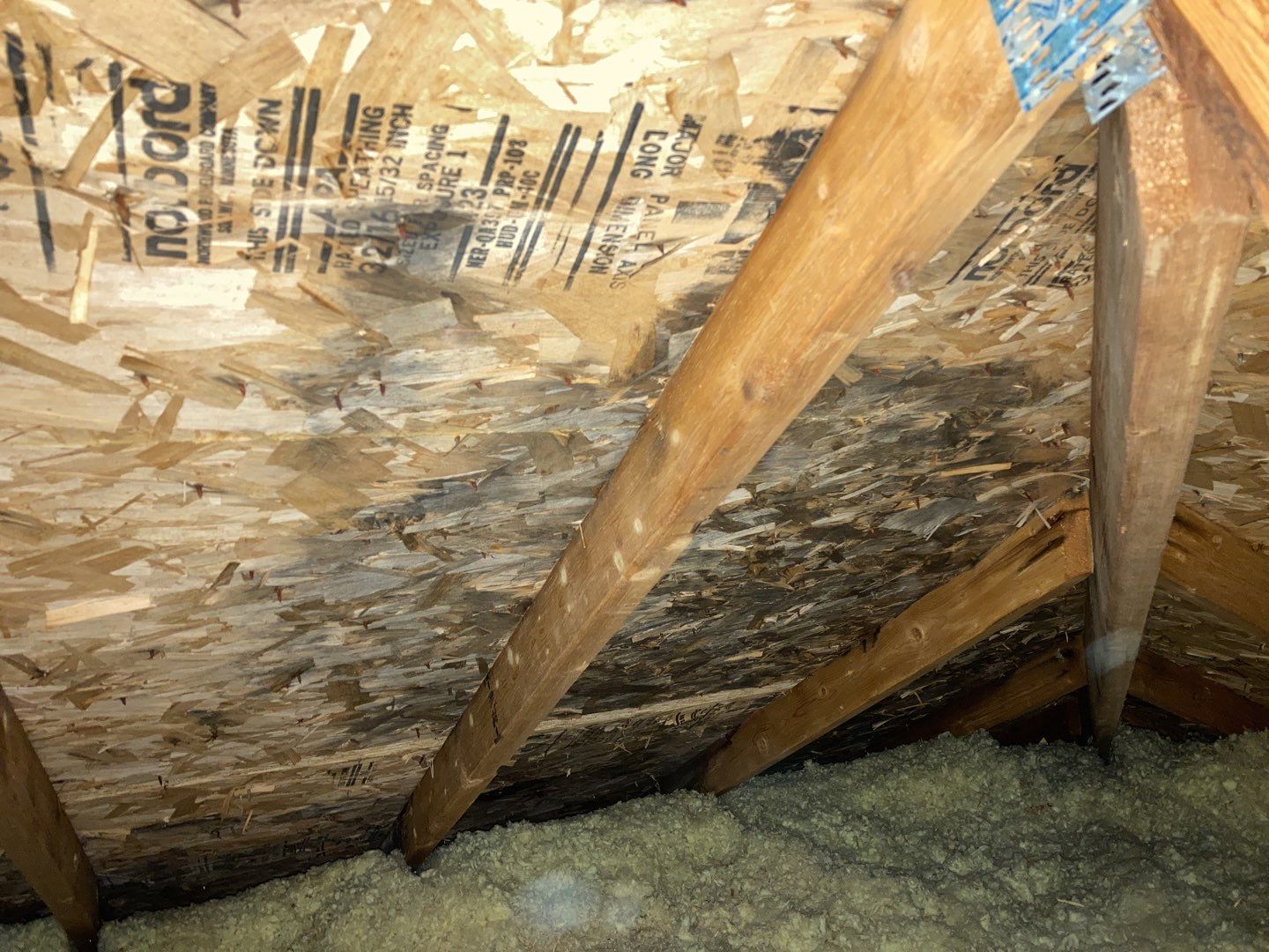 Mold Remediation Cleanup in Attic by Accountable Home Services