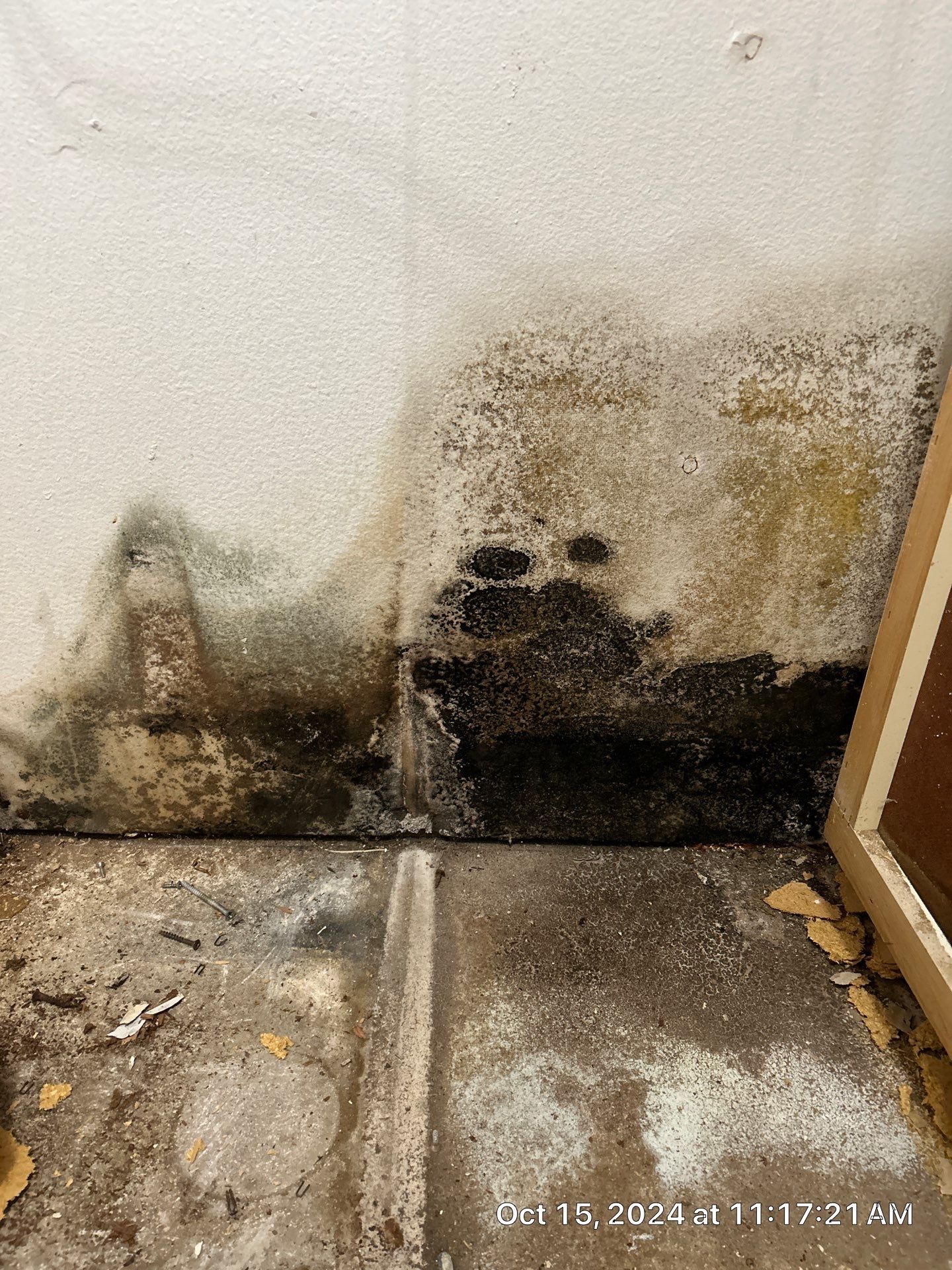 Mold Inspection by Ampm Restoration Services